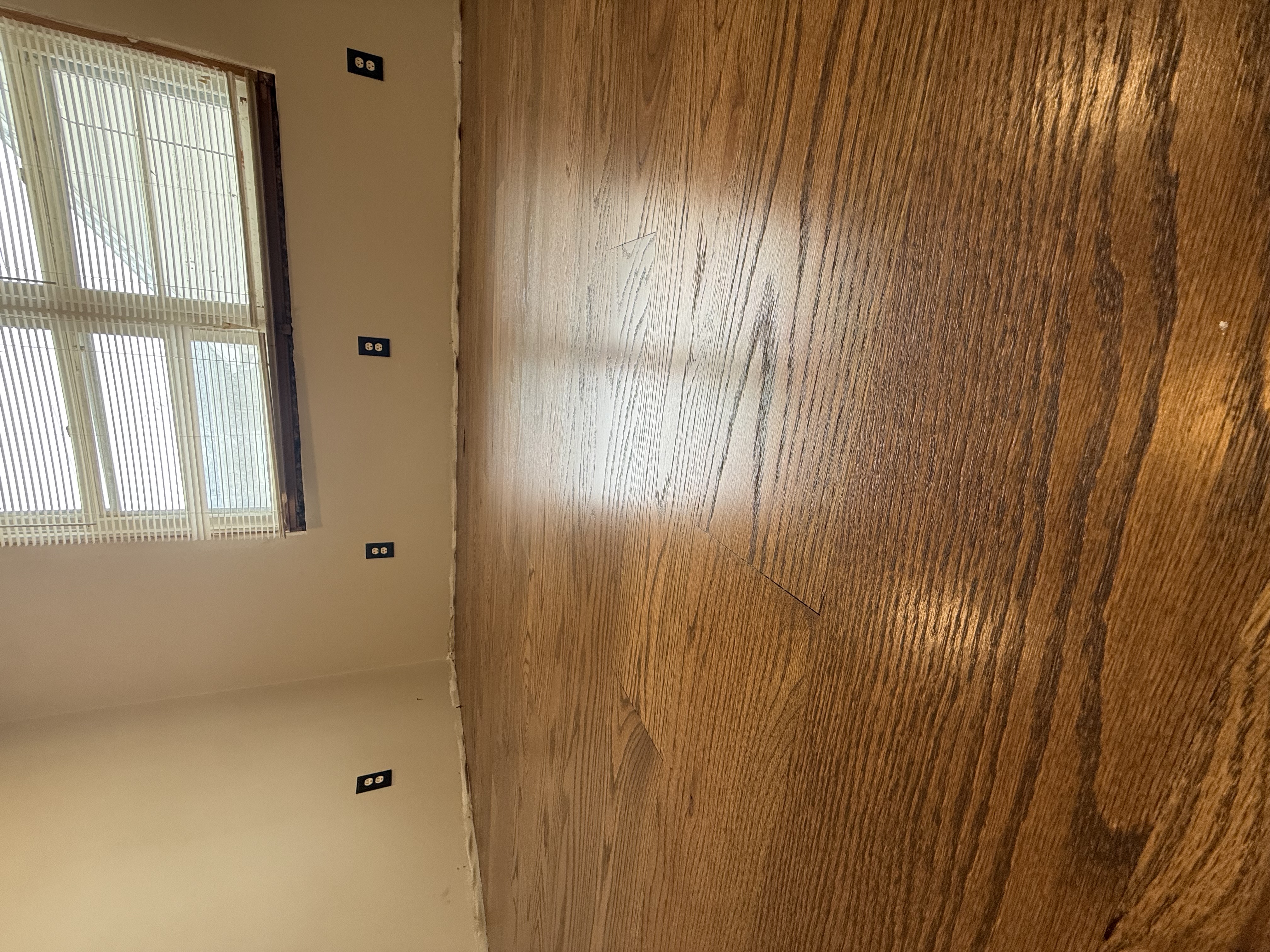  for Finely Finished LLC in Wyoming, DE