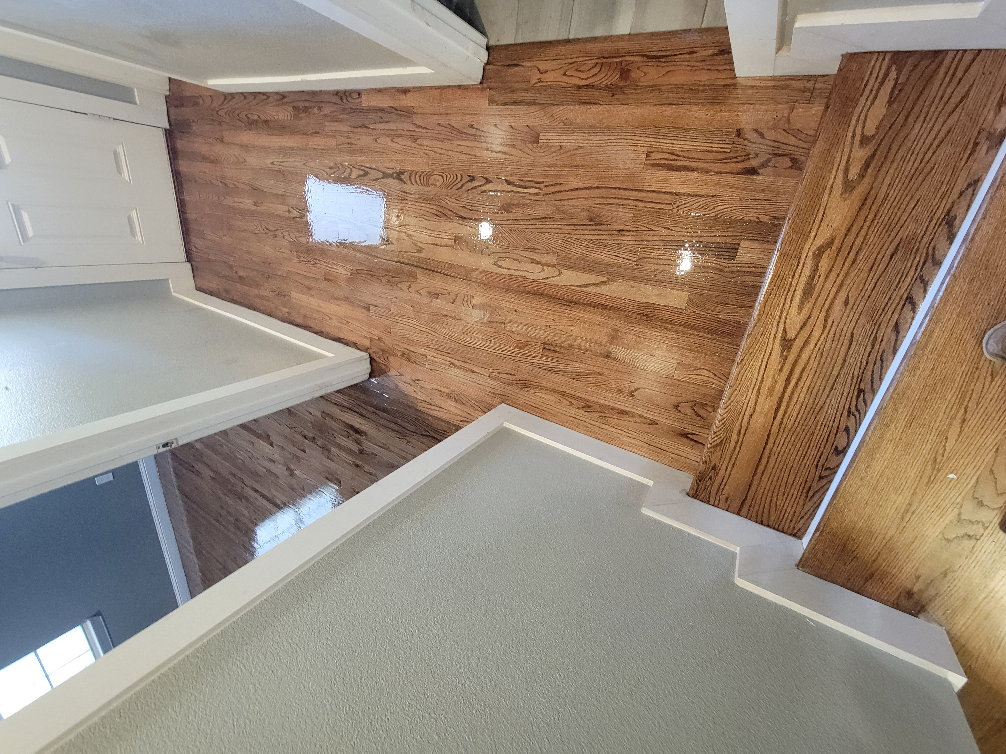  for Doctor Wood Floors LLC in Dallas, TX