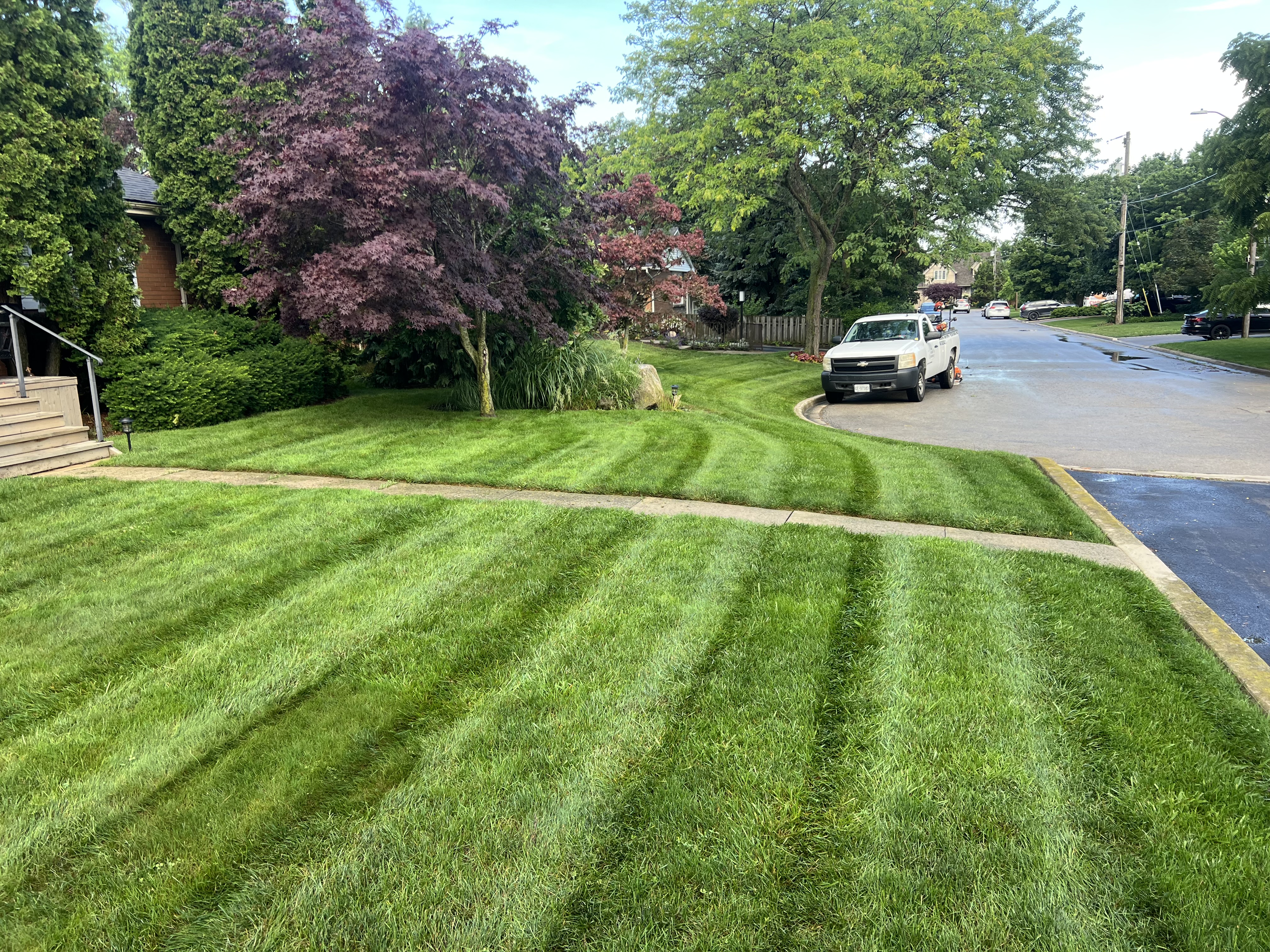  for CMN Exterior Maintenance in Hamilton, ON