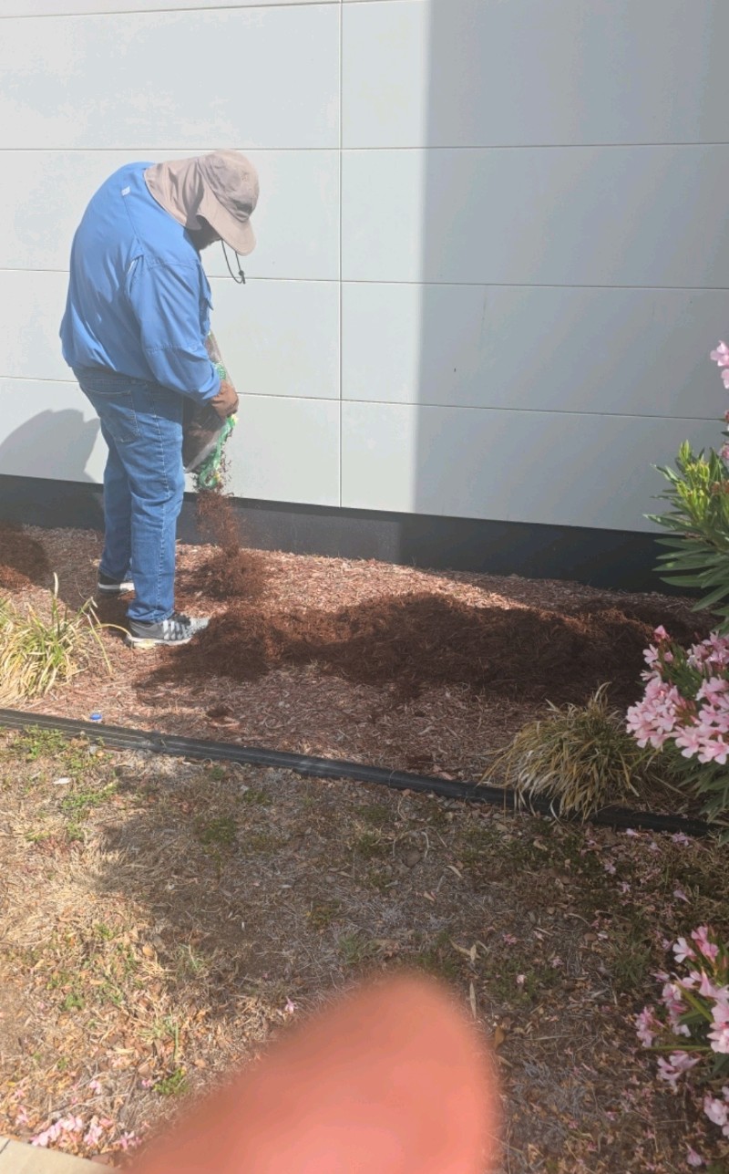  for Pro Lawn Care RGV in McAllen, TX