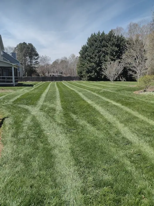 Landscaping company Olmedo Home Services in Davie County, NC