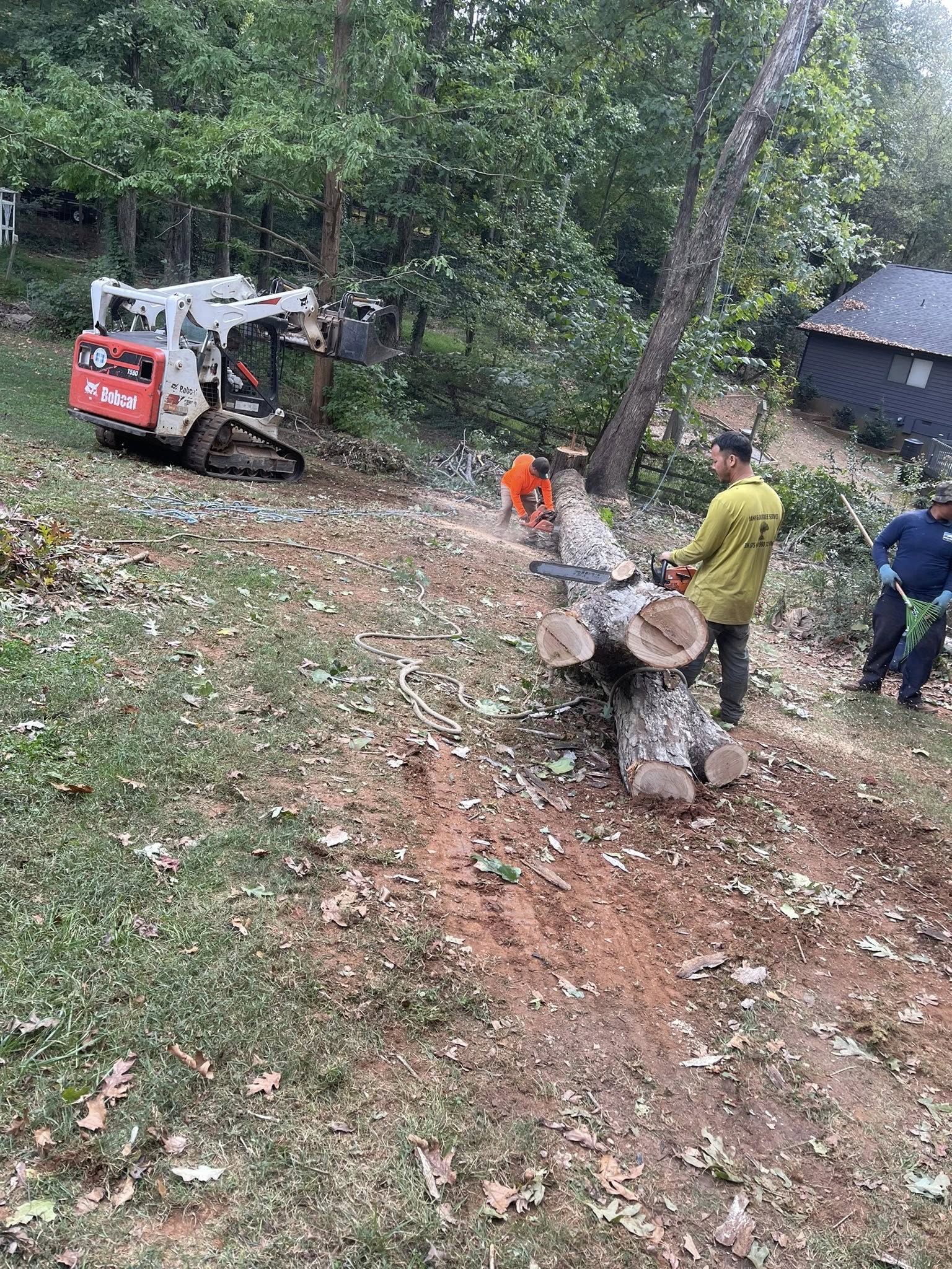  for K-2 Tree Service in Shelby, NC