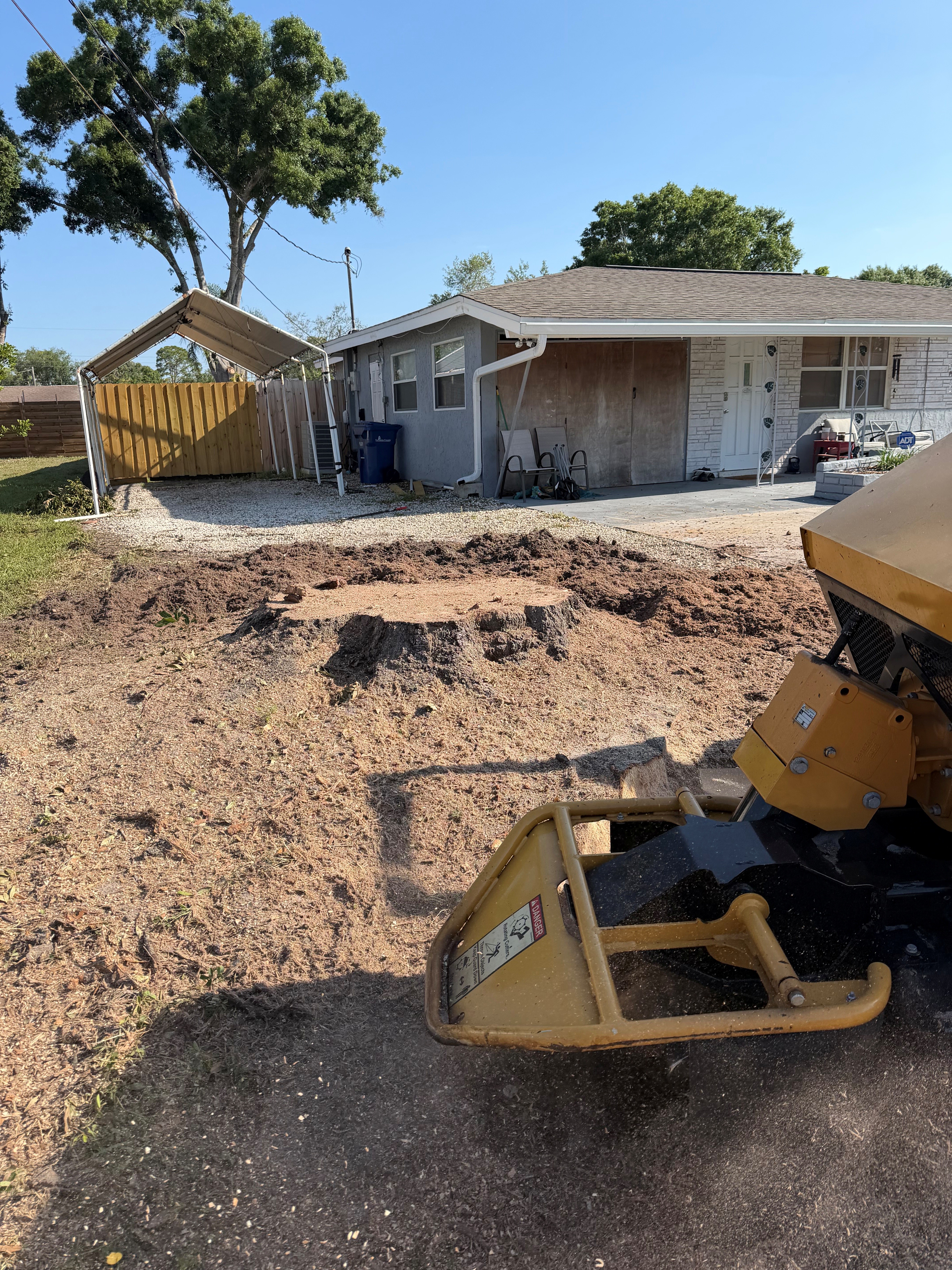  for Damian’s Tree Care in Sarasota, FL
