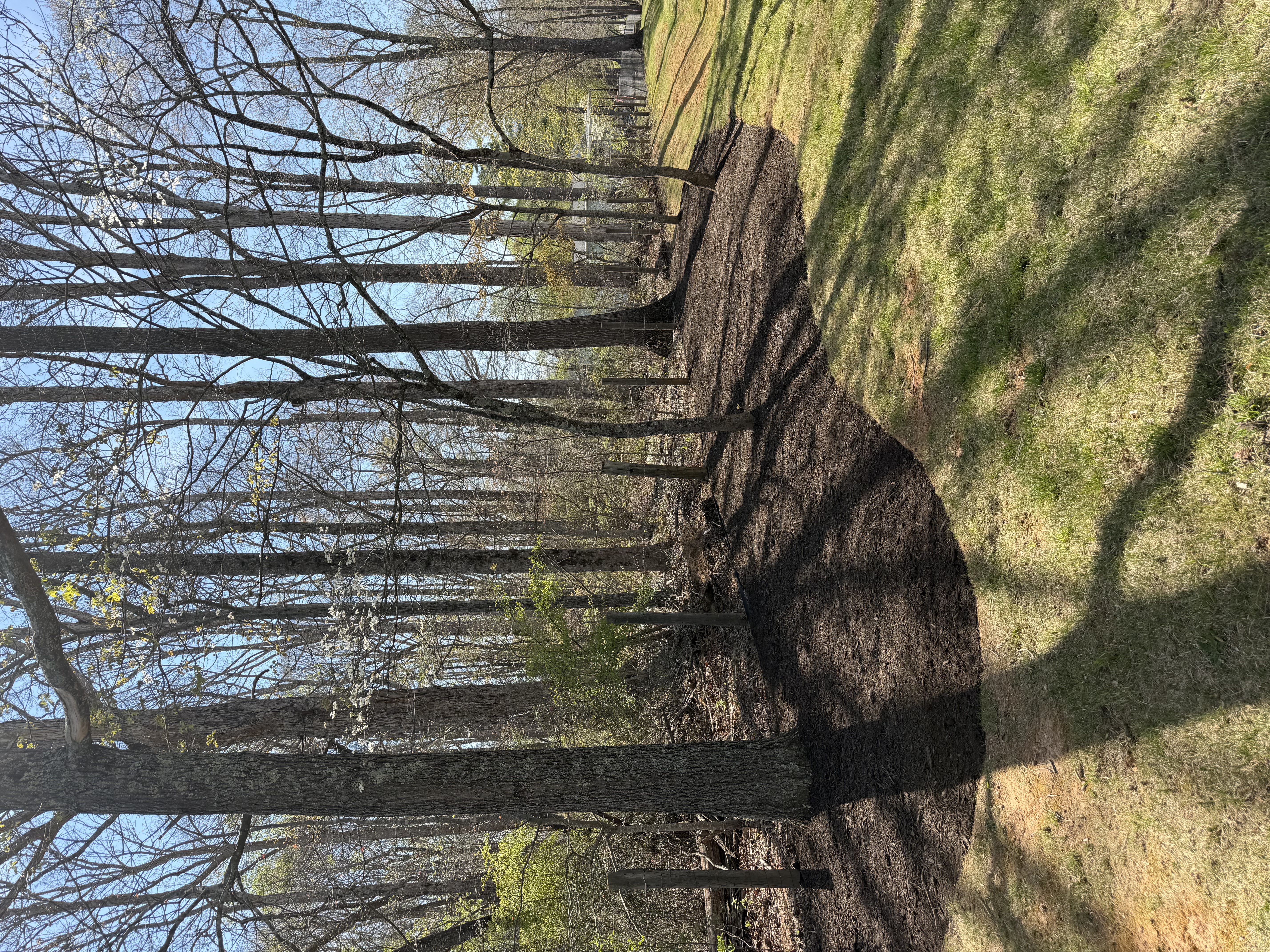  for John Lawns in Candler, NC