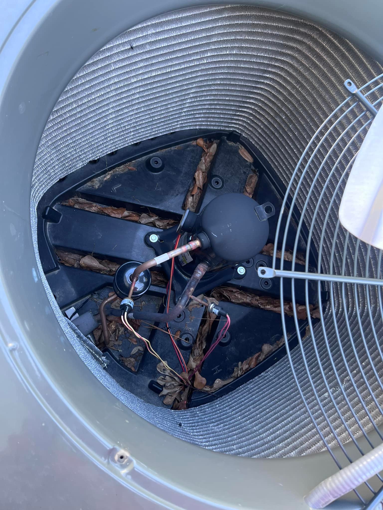  for Comfort 101 in Clinton, NC