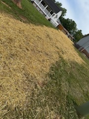  for Foothills Lawn and Landscape in North Carolina, NC