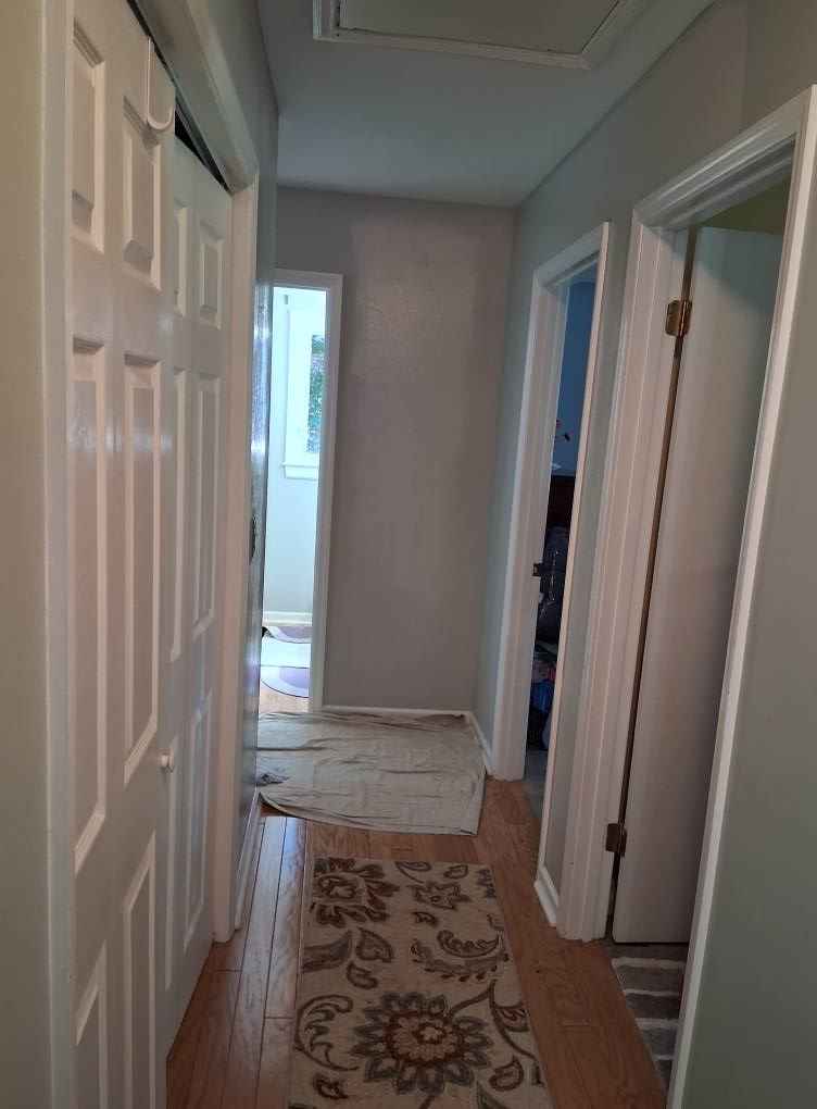  for Raw Paintings, Sheetrock Repairs and Cleaning in Columbia, SC