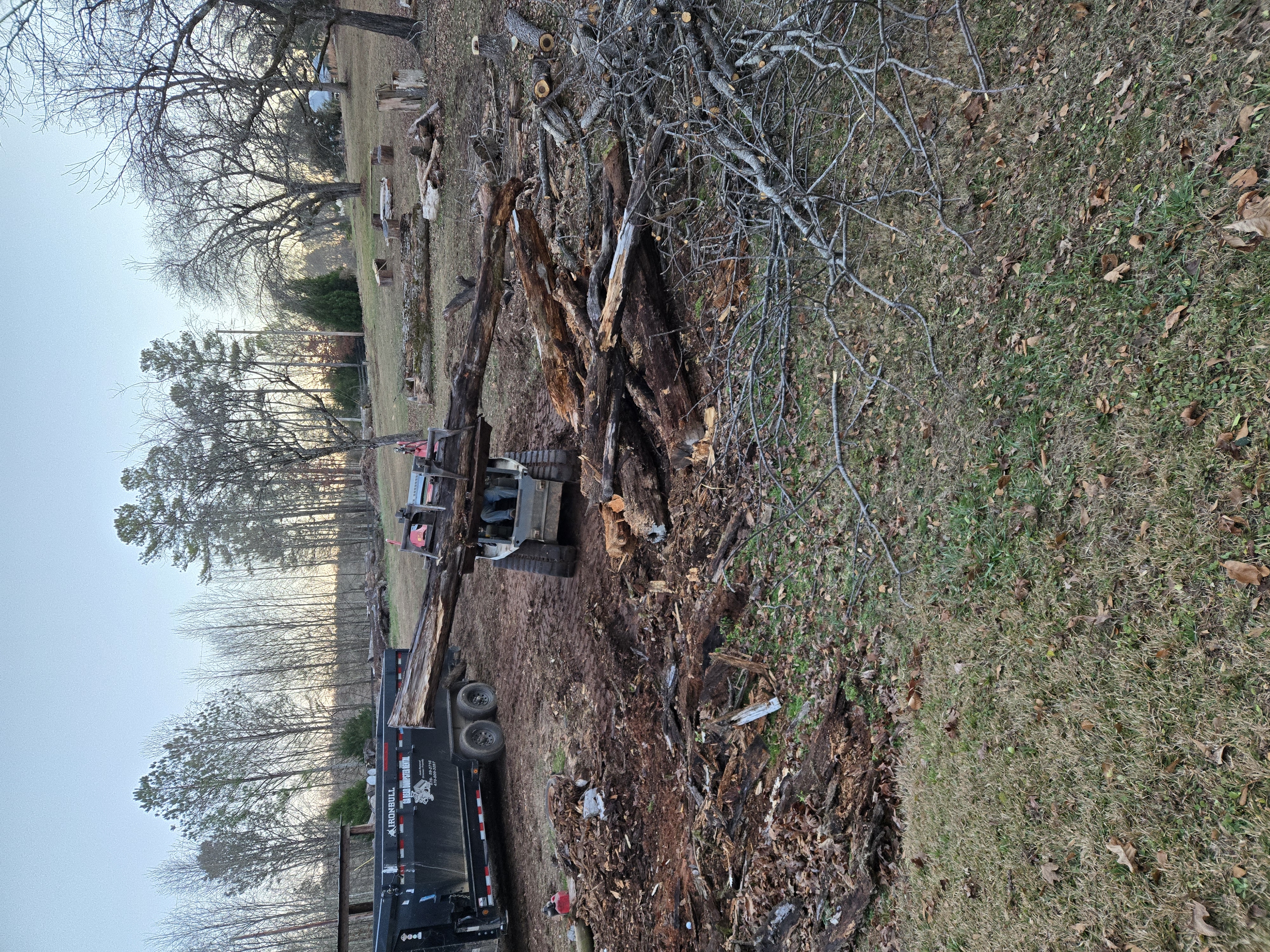  for GA Bear Dumpster Rental in Cumming, GA