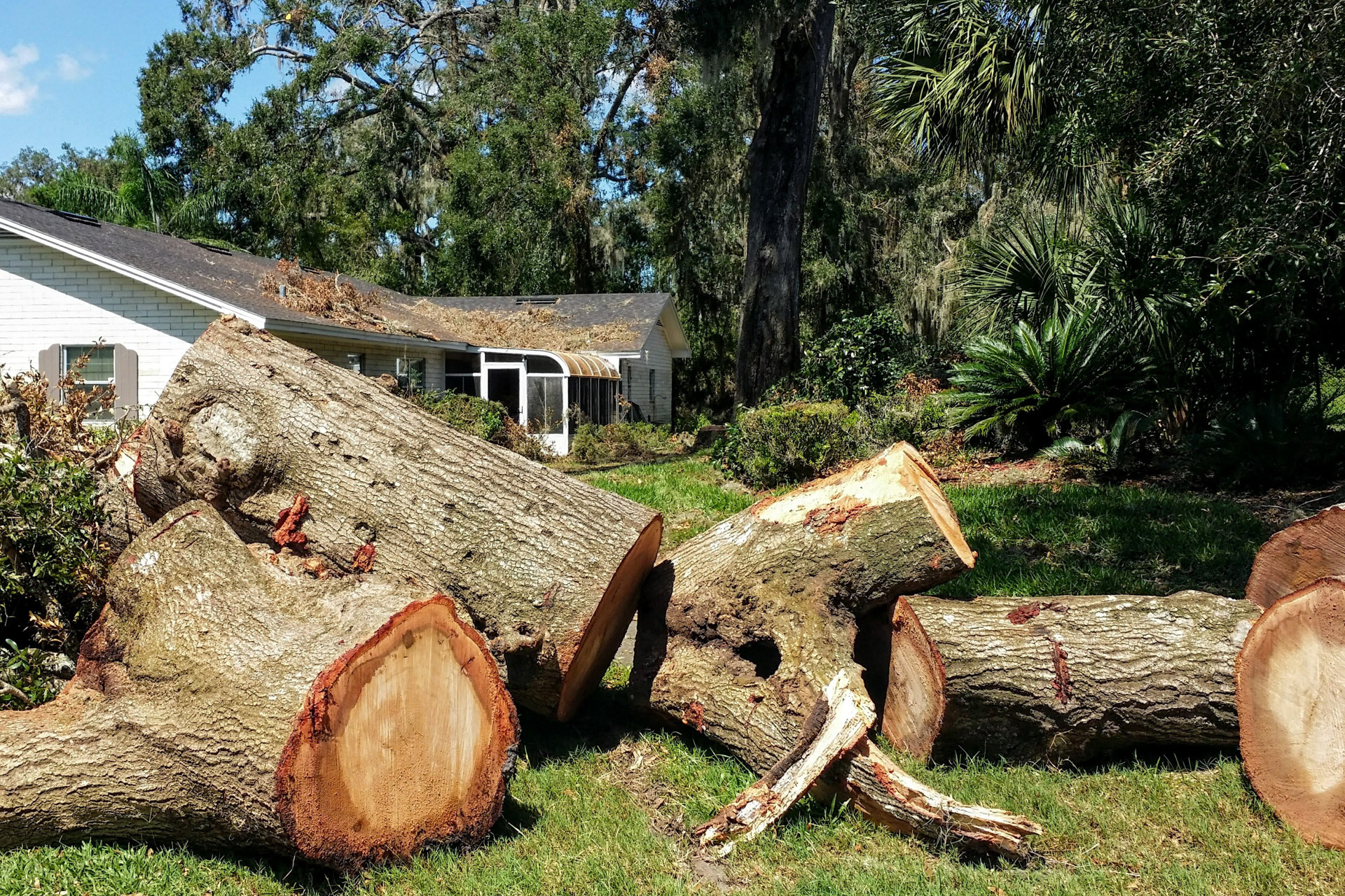 Hawkins Tree Service & Land Management team in Richmond Hill, GA - people or person