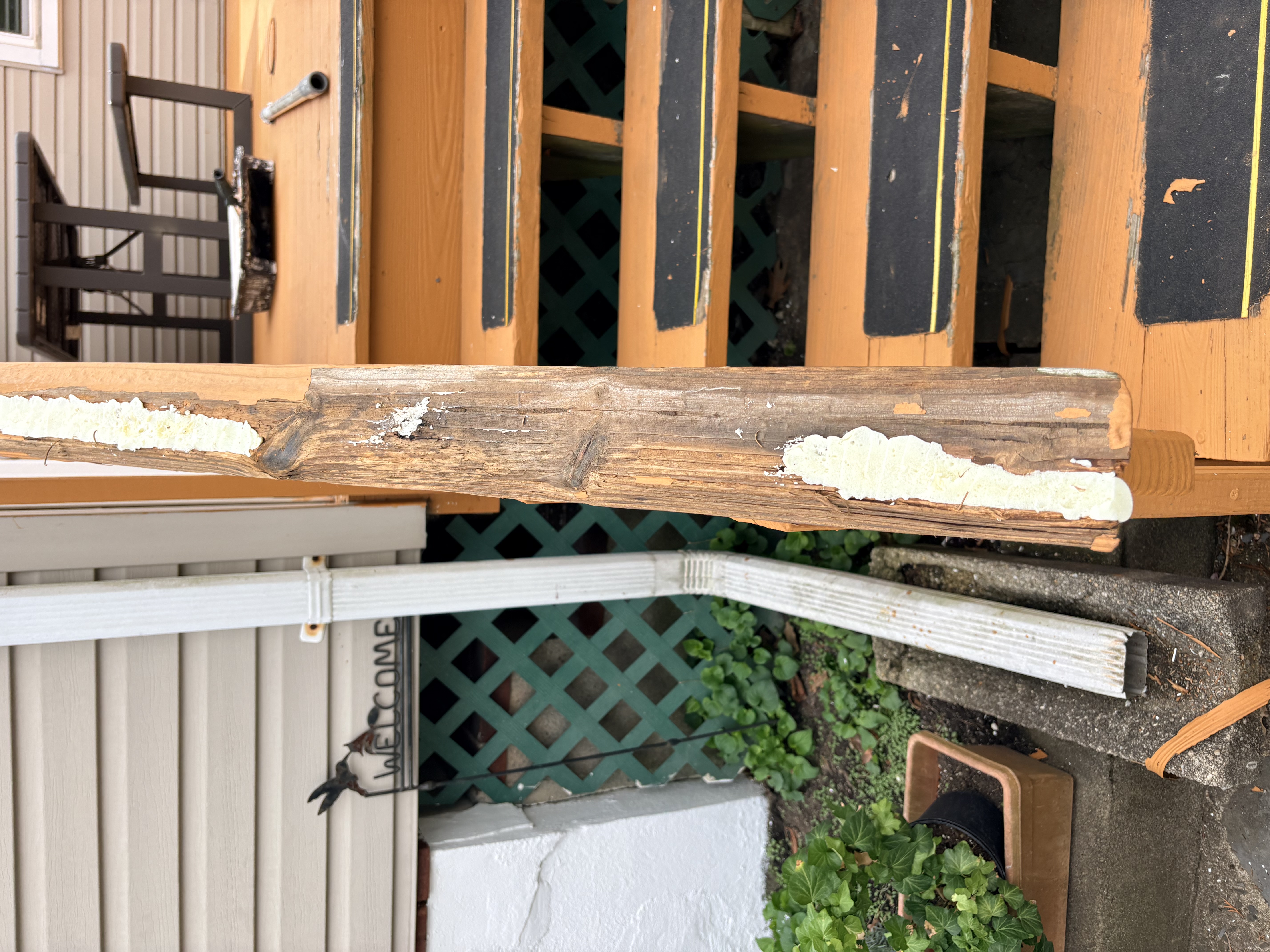  for Guss Professional Painting and Wallpaper in Allendale, NJ