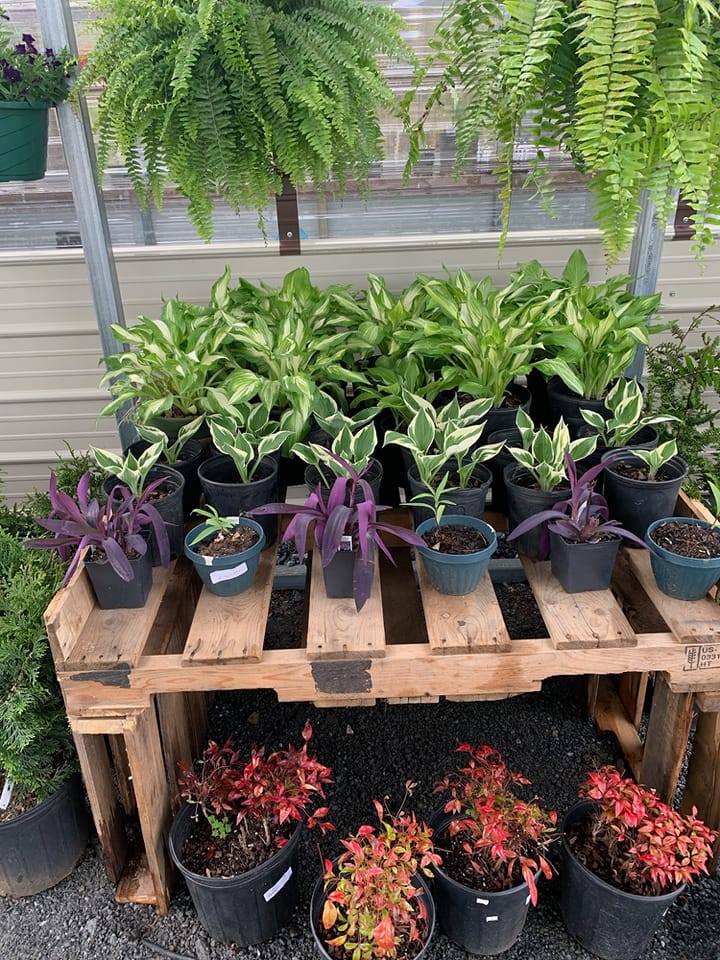  for Hidden Springs Enterprise in Rutherford, NC