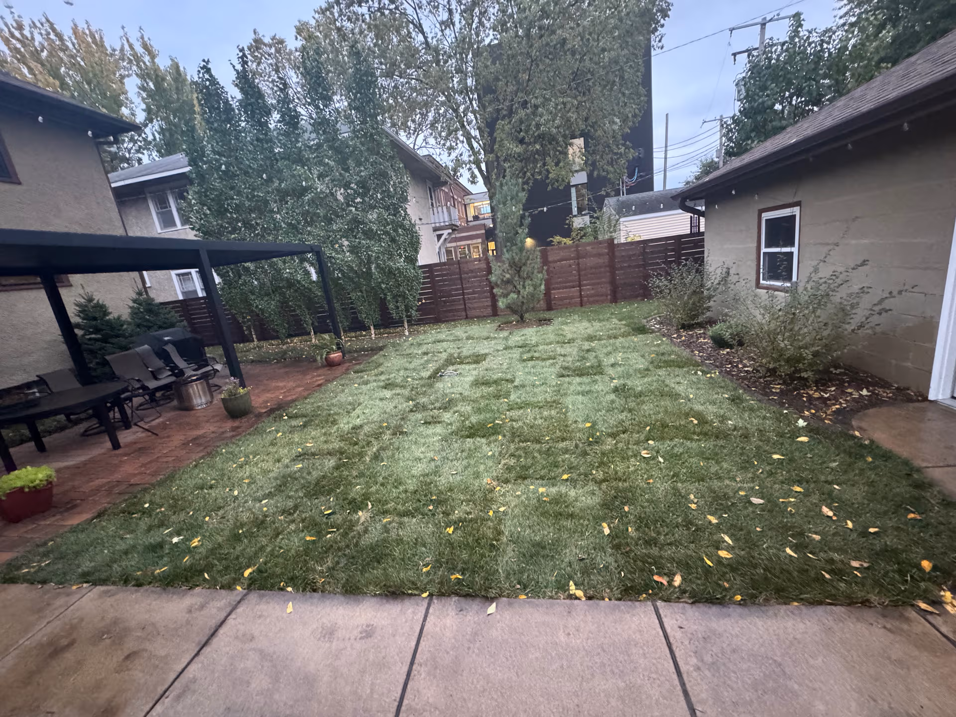 Minneapolis Backyard Gets a Fresh Sod Installation