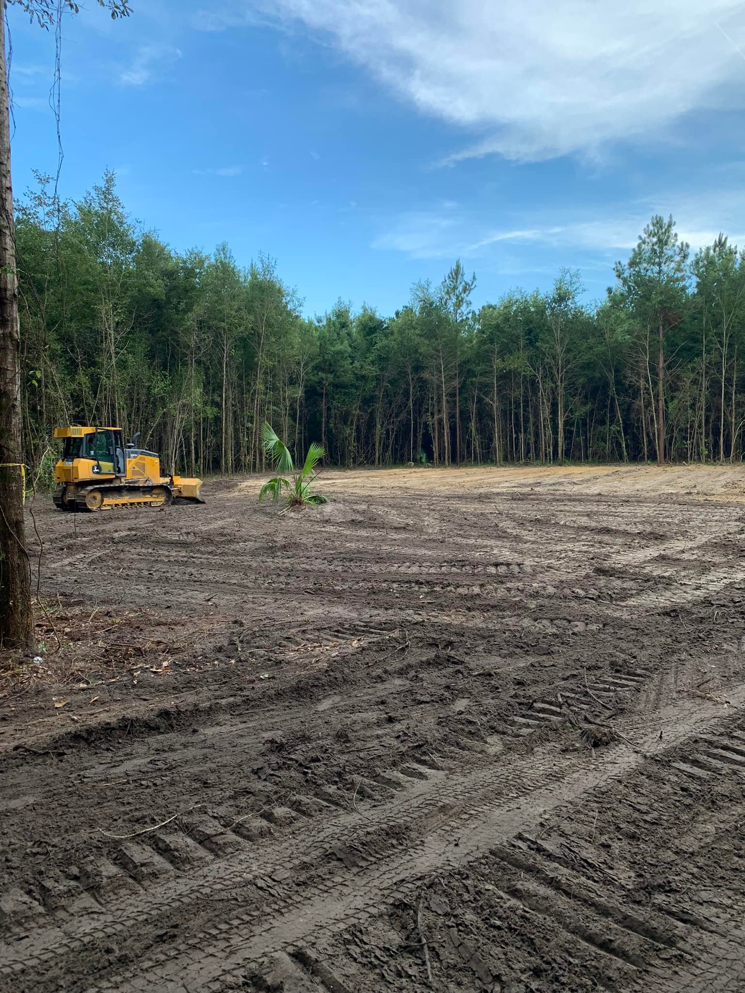  for Wilson’s Excavation & Land Clearing in Greenville, FL