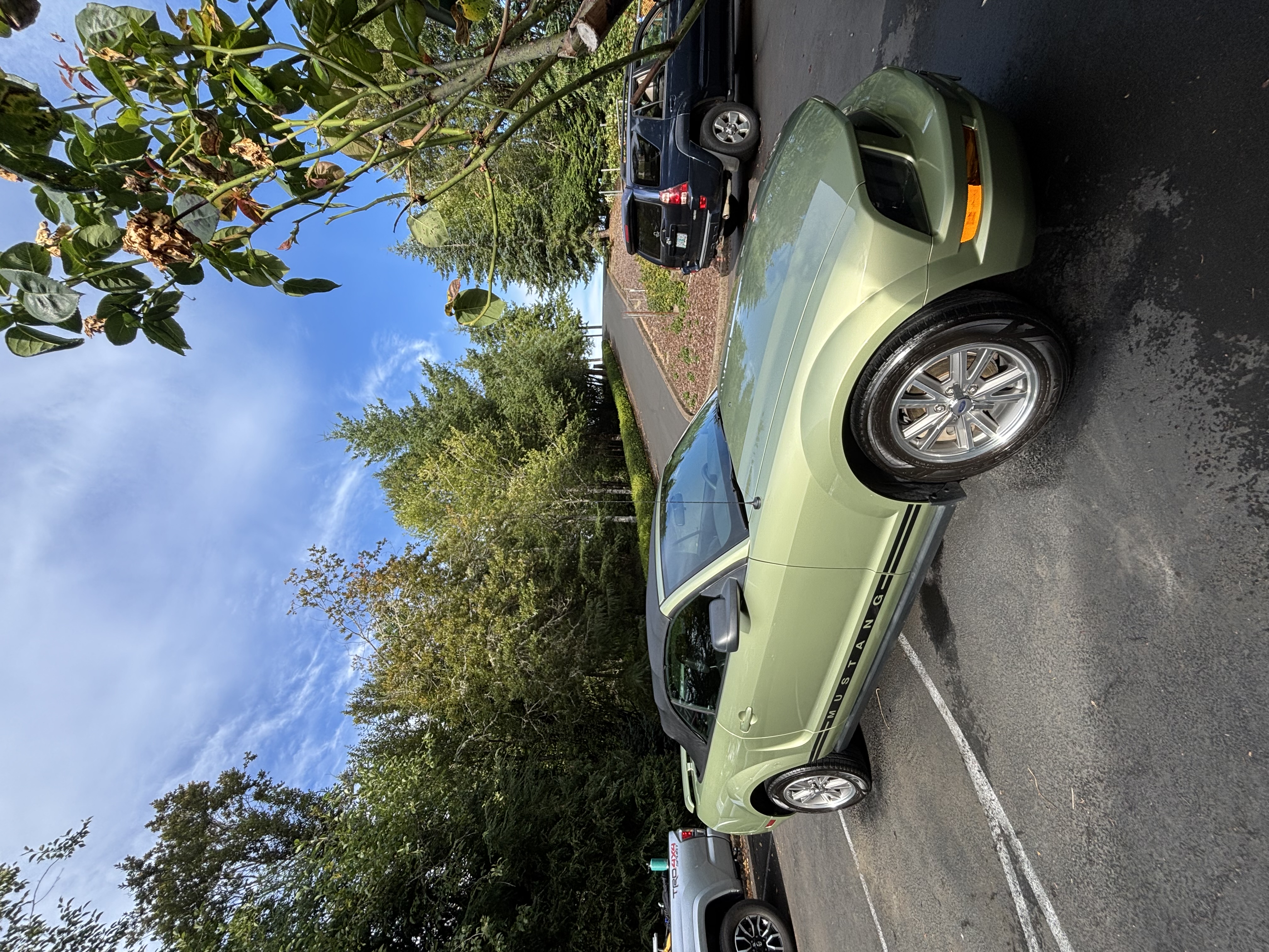 Will's Auto Detailing team in Yamhill County, OR - people or person