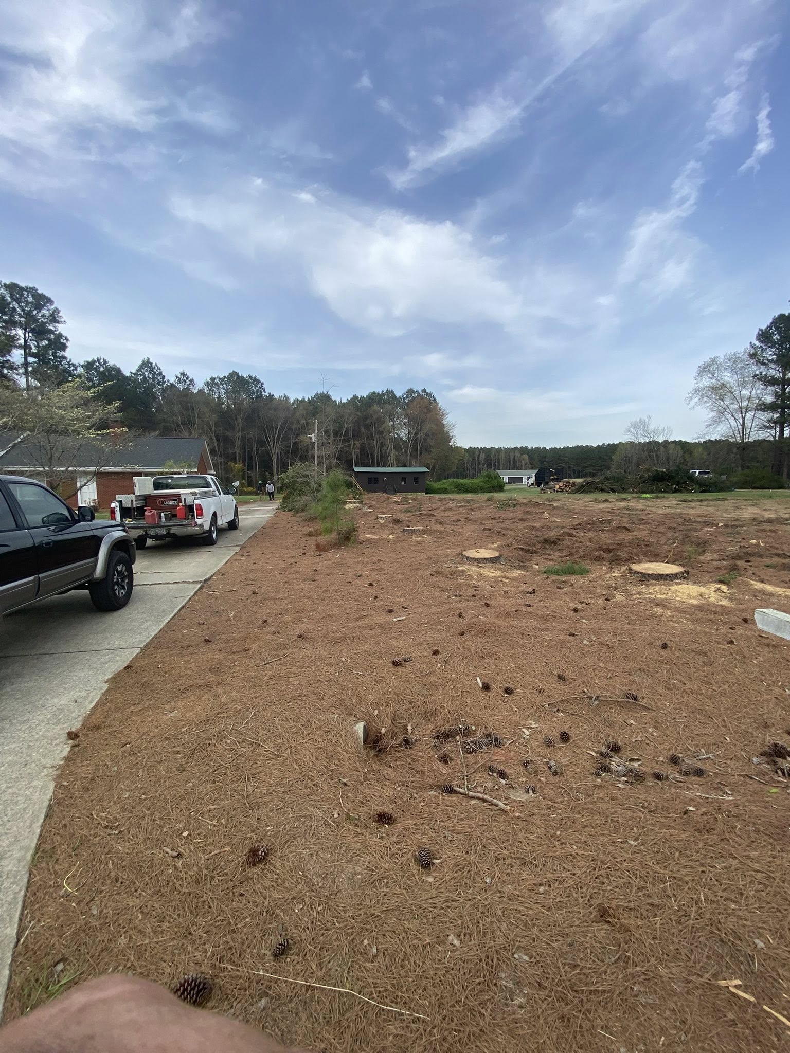 Tree Services company MTJ Tree Removal LLC in Zebulon, NC