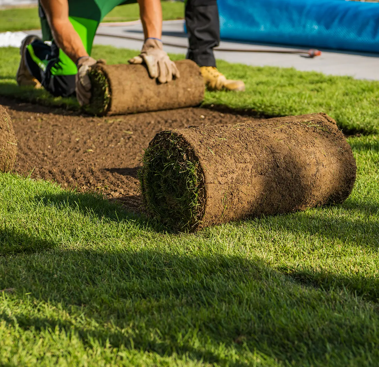  for First Class Landscaping in Collier County, FL