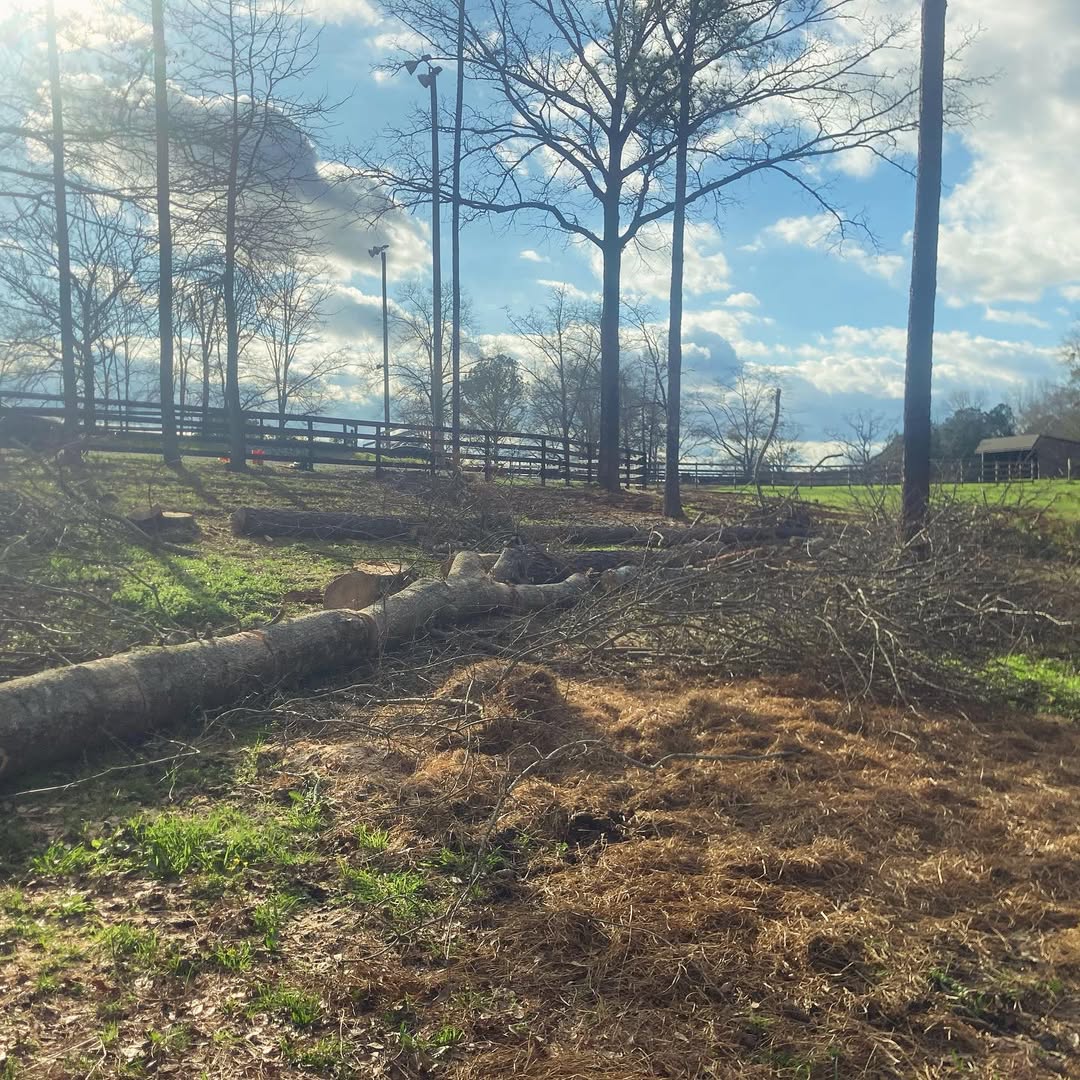 tree services company Kingdom Tree Cuts in Birmingham, AL