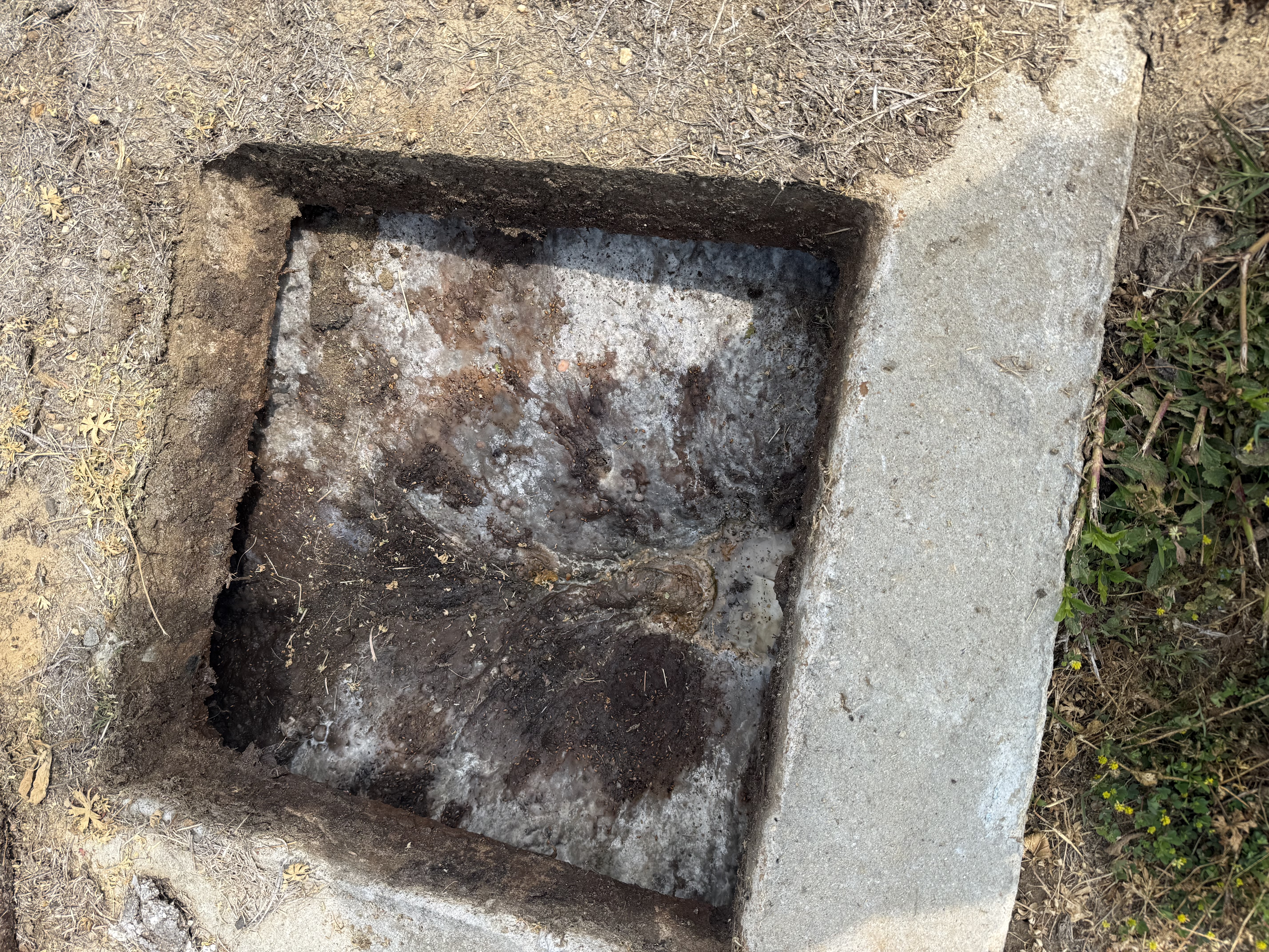  for Masse Septic & Plumbing in Sylvania, GA