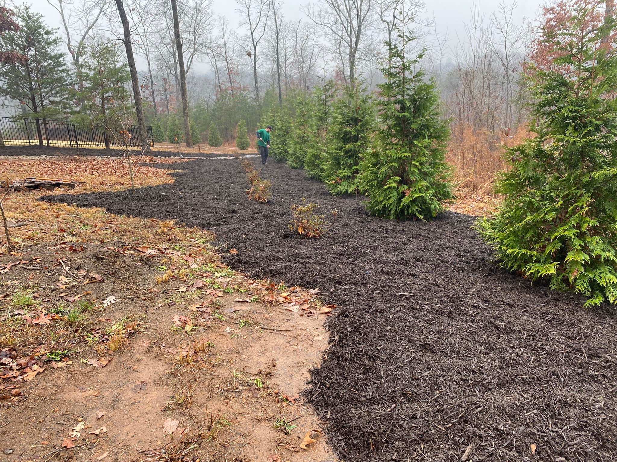 Down To Earth Tree and Landscaping team in Greenville, SC - people or person