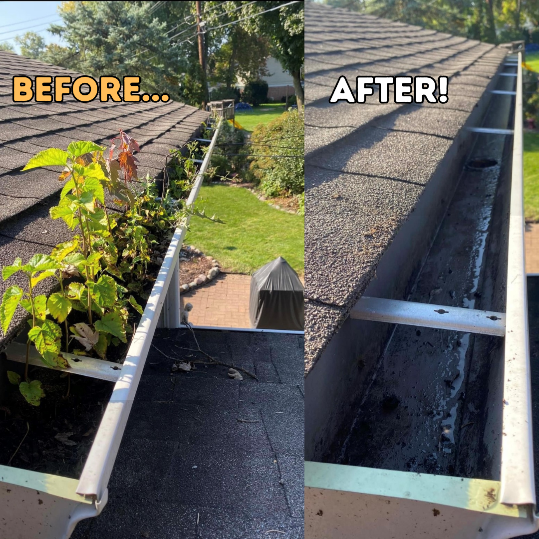 Before and after exterior cleaning in Greater Lansing