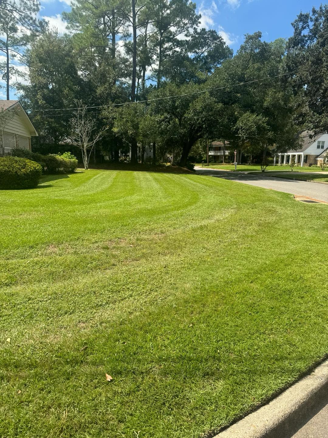  for Johnson Lawn Care in Mobile, AL