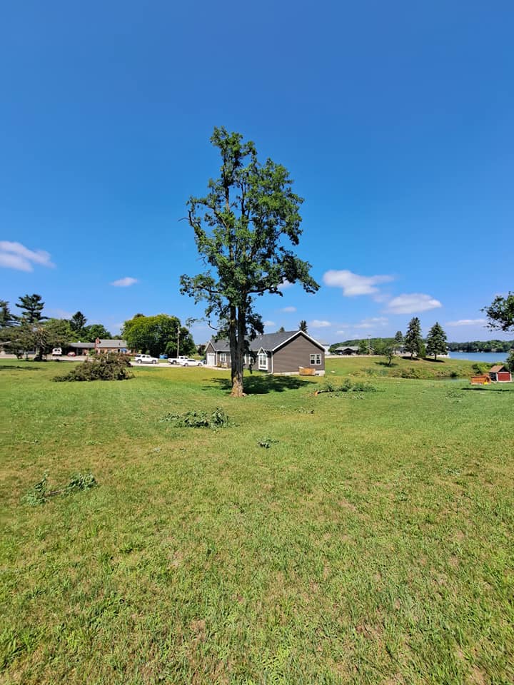  for God's Country Timber Management in Hillsdale, MI