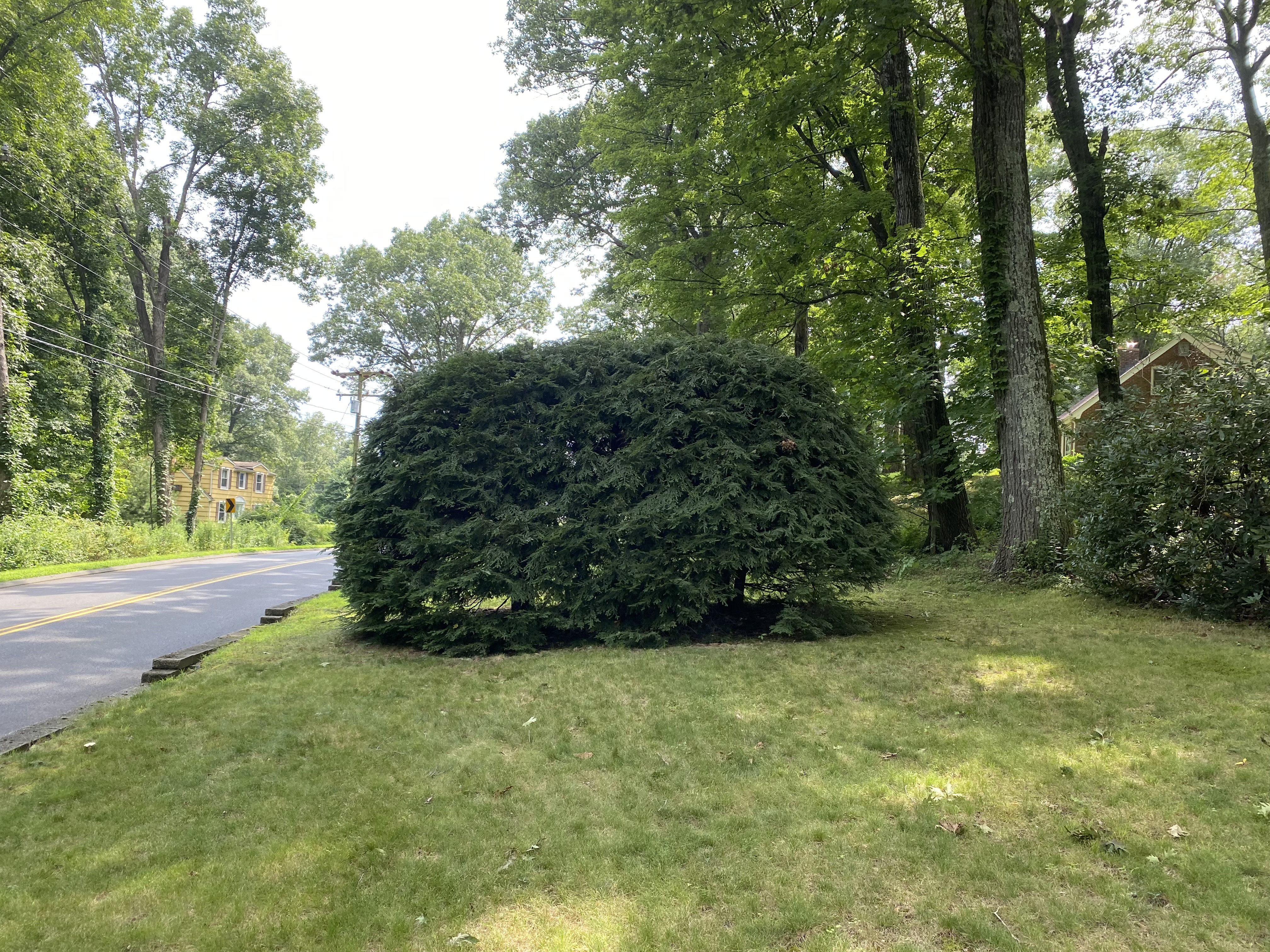  for Stevenson Property Maintenance in Cheshire, CT