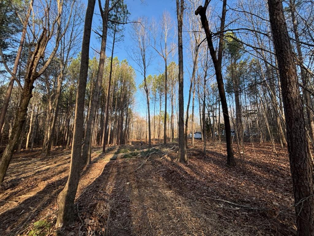  for Carolina Construction Services in Woodleaf, NC