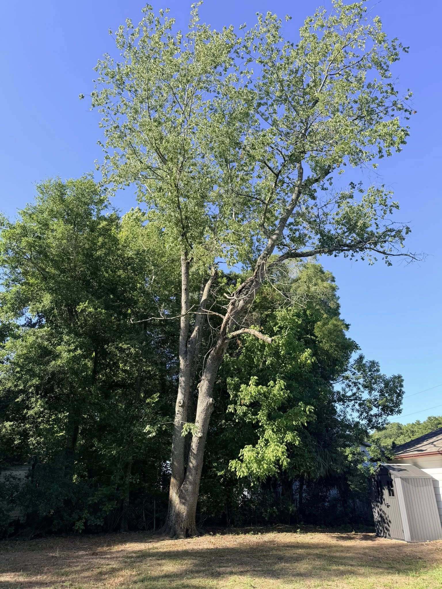 cover-photo