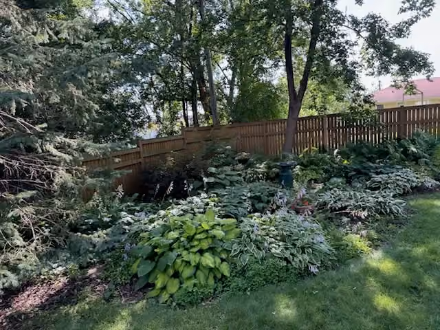 Elevate Lawns Revitalizes South Minneapolis Garden