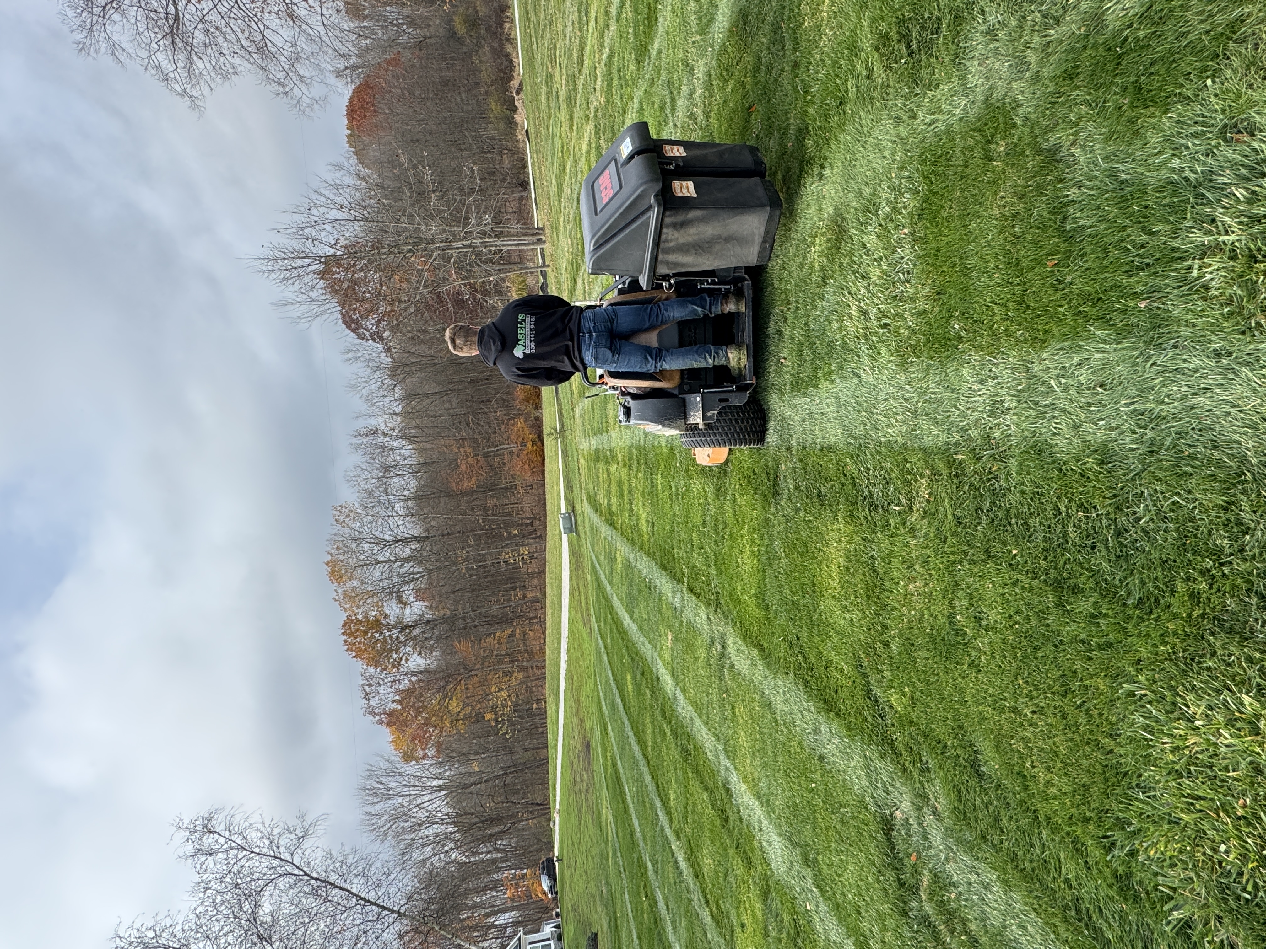  for Vasel's Landscaping Services in Medina, OH