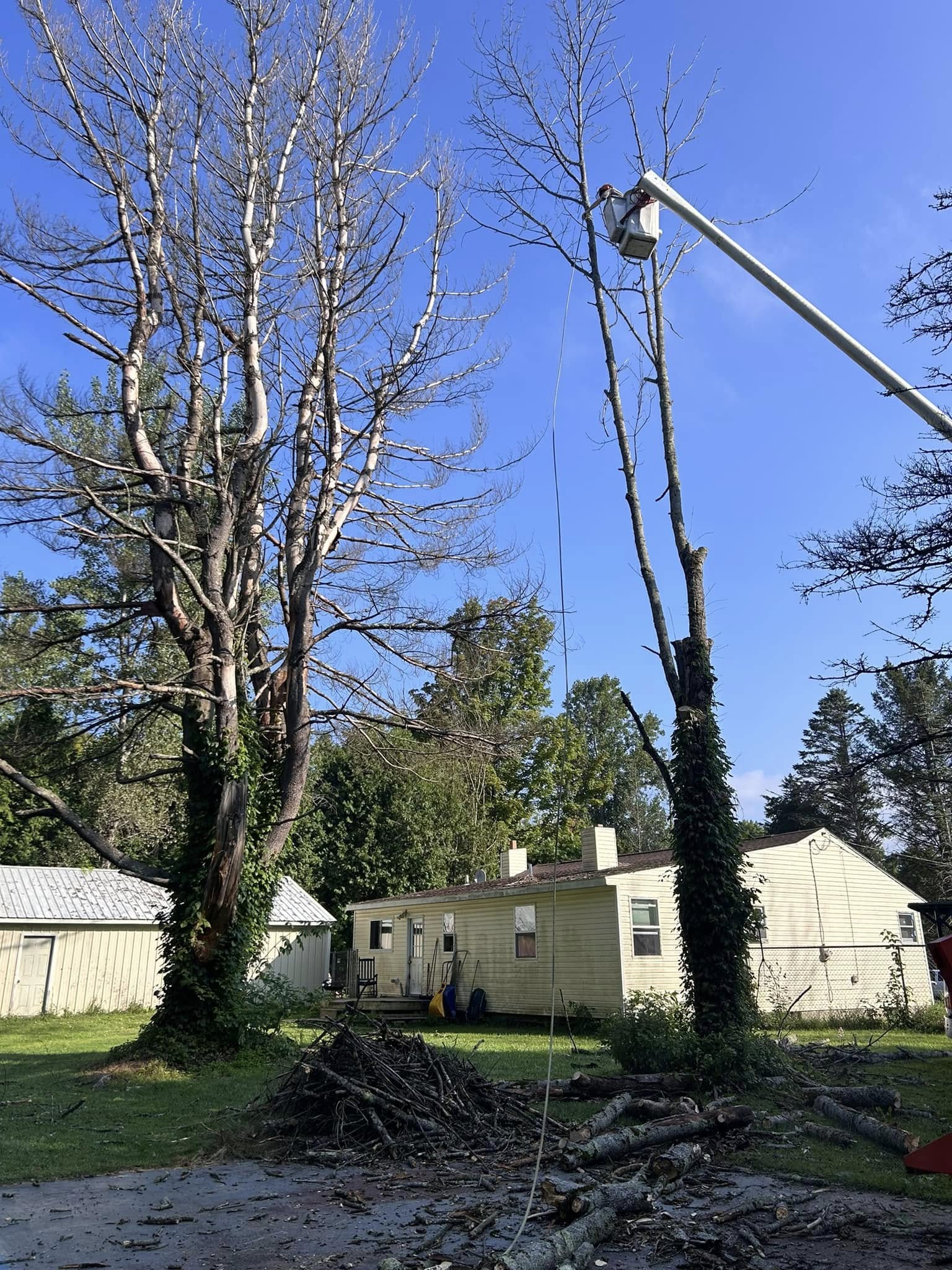  for Lovenguth Logging and Tree Service in West Monroe, NY