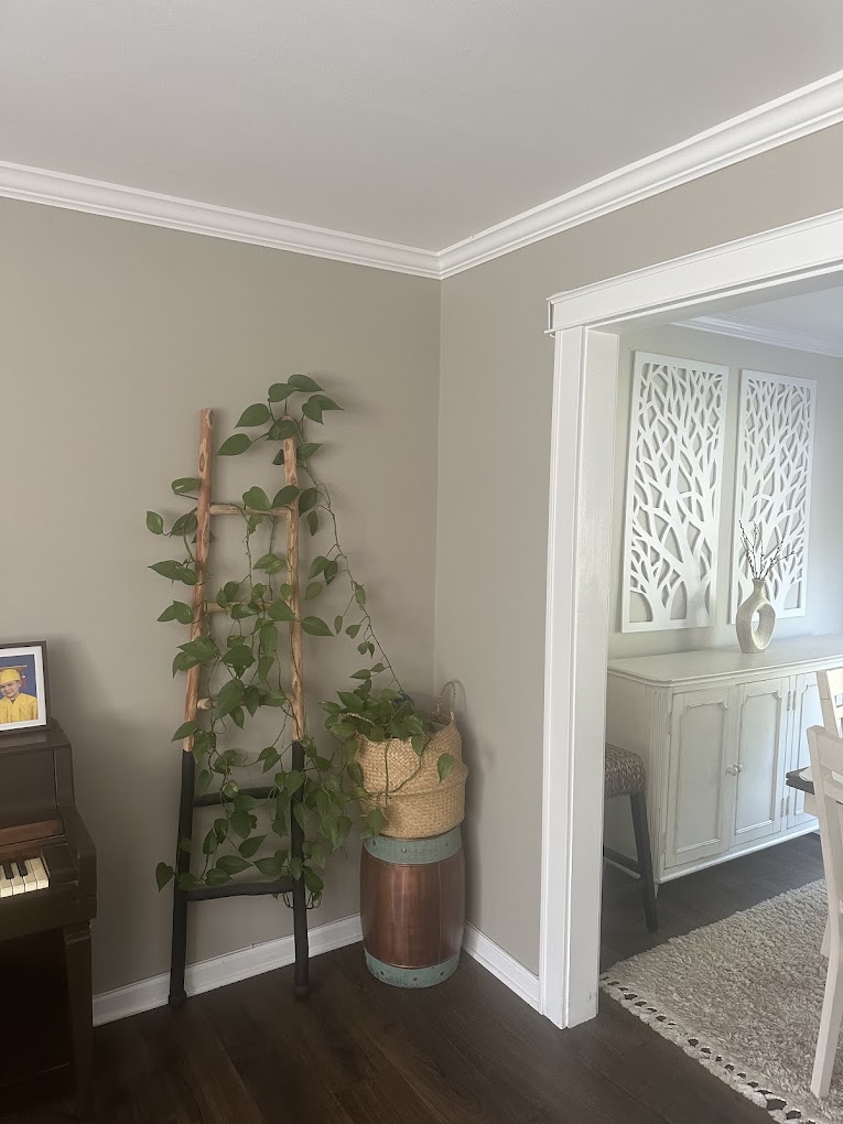  for Topline Painting Services LLC in Port Jefferson, NY