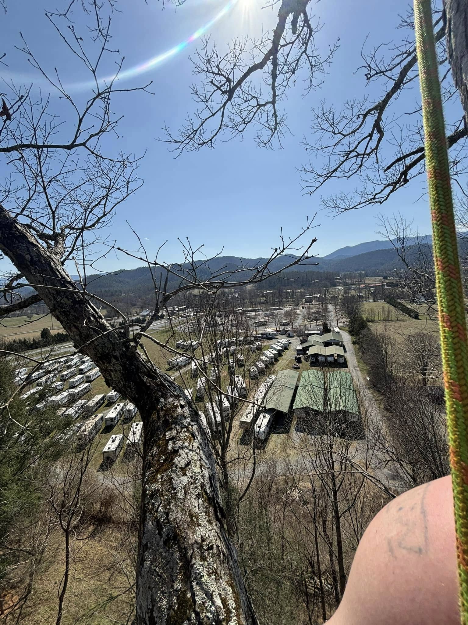  for Wade's Family Tree Service in Townsend, TN