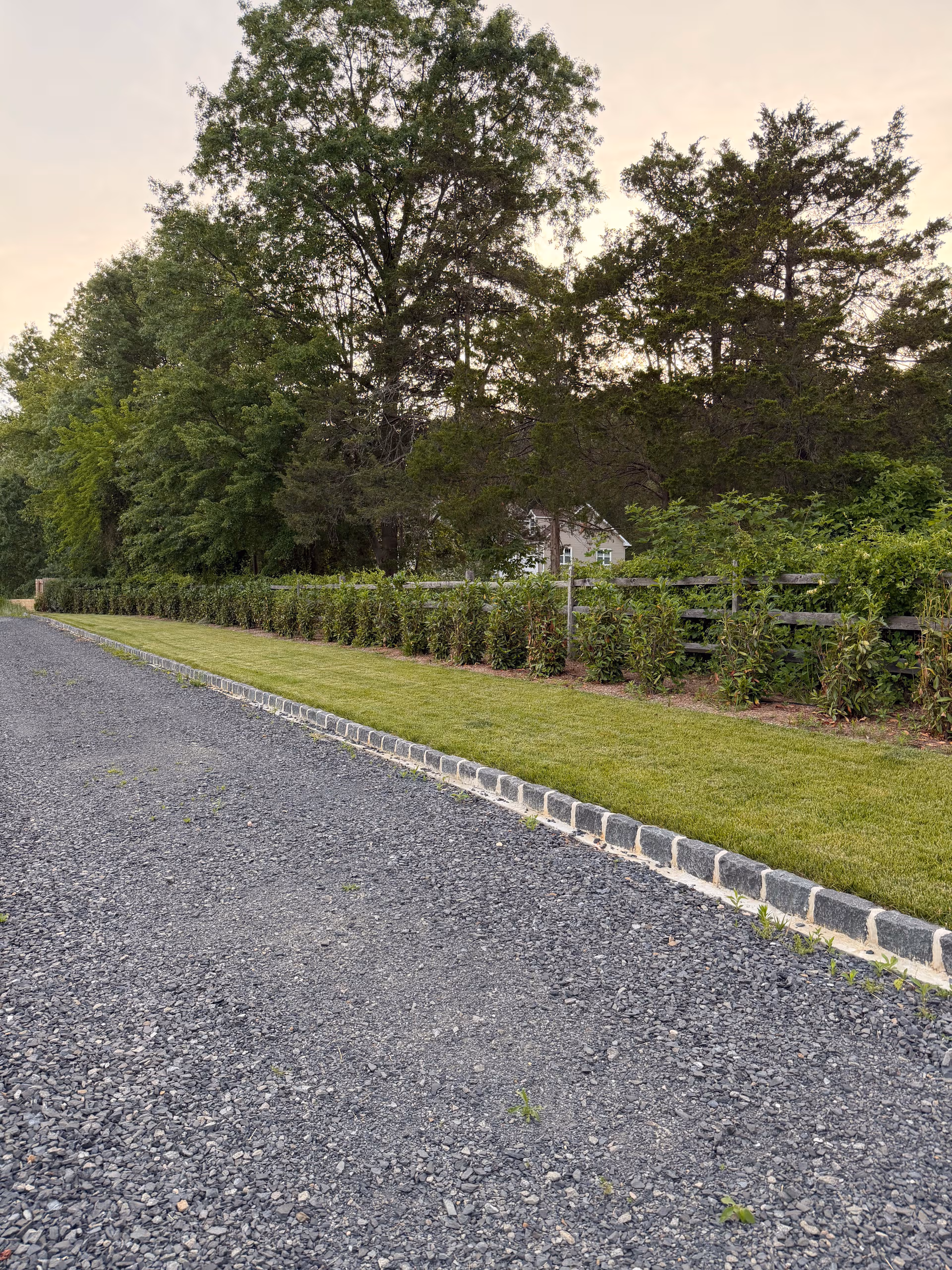 Privacy Hedges