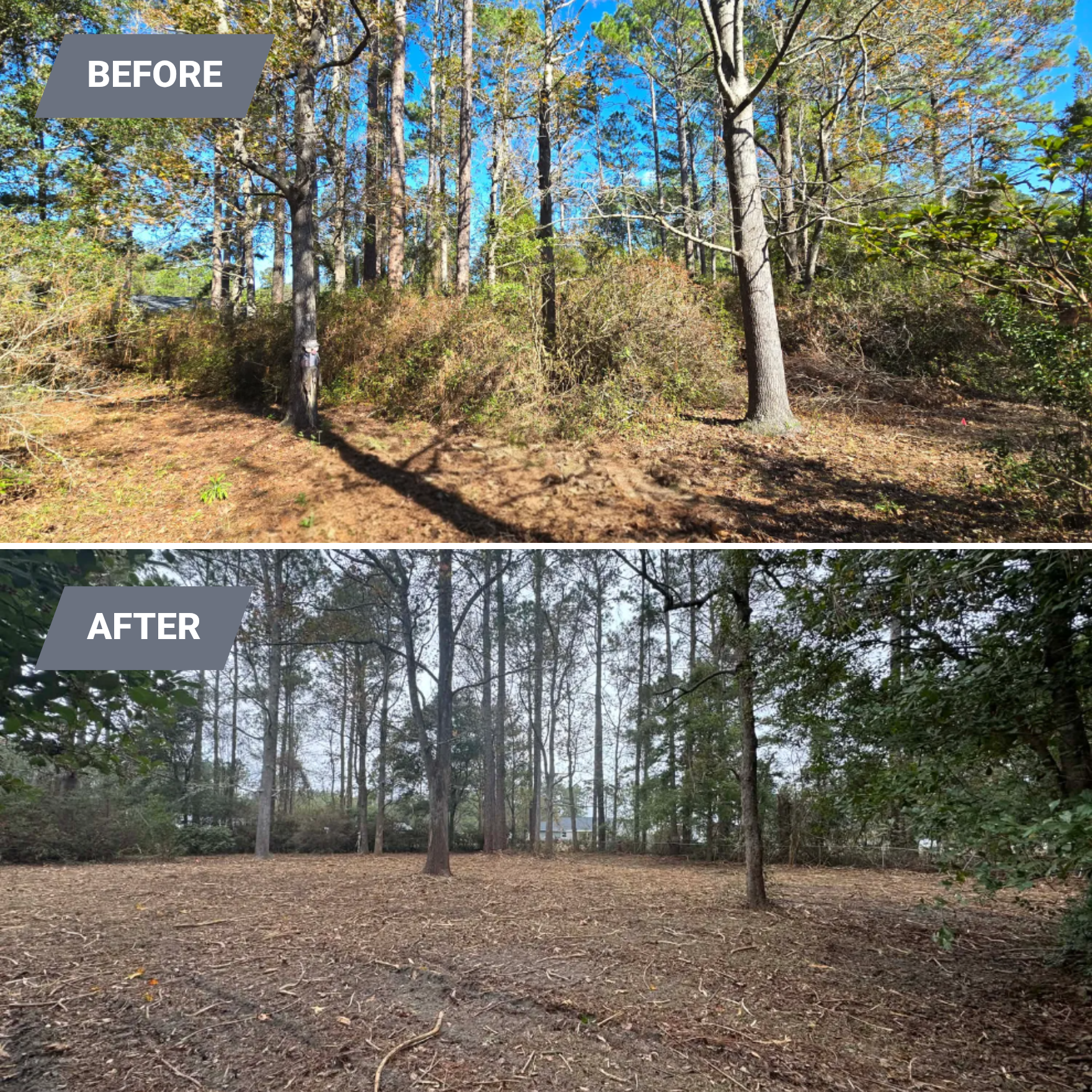  for Giles Land Management, LLC in Hahira, GA