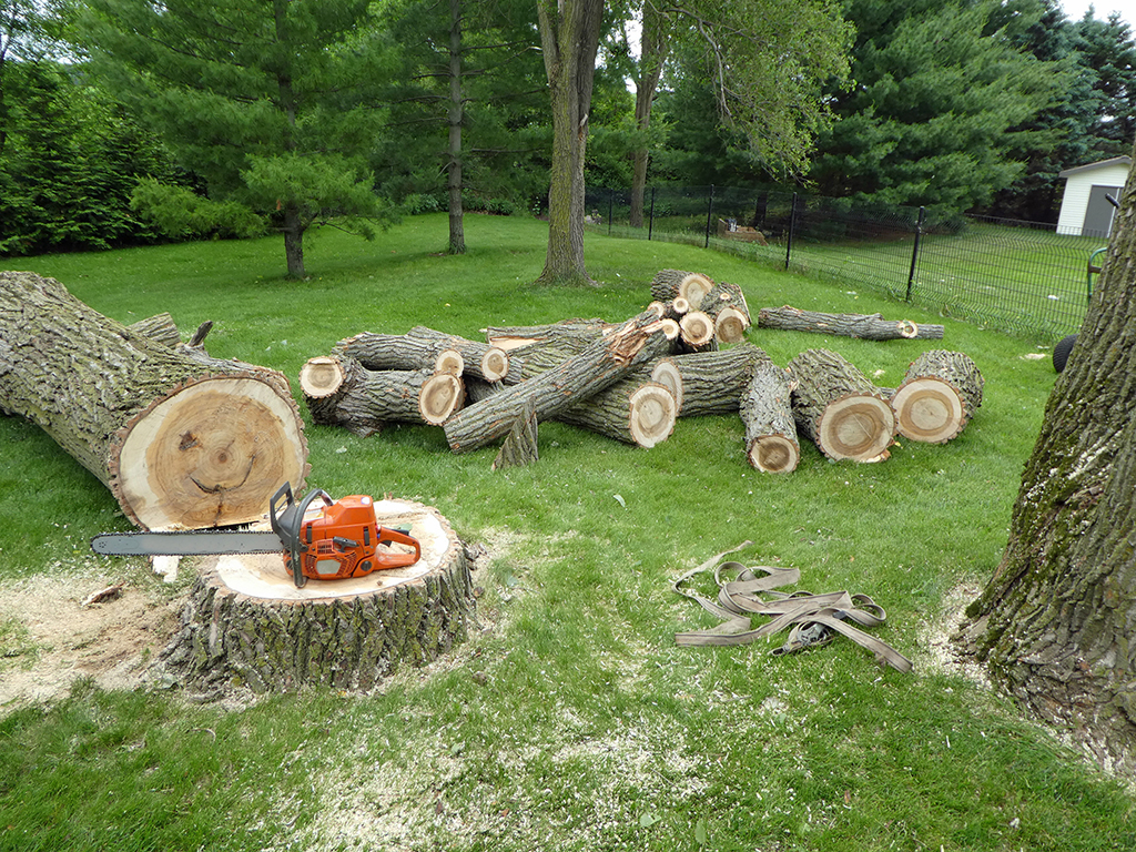 O'Donnell Tree and Handyman Services team in Pine Ridge, FL - people or person