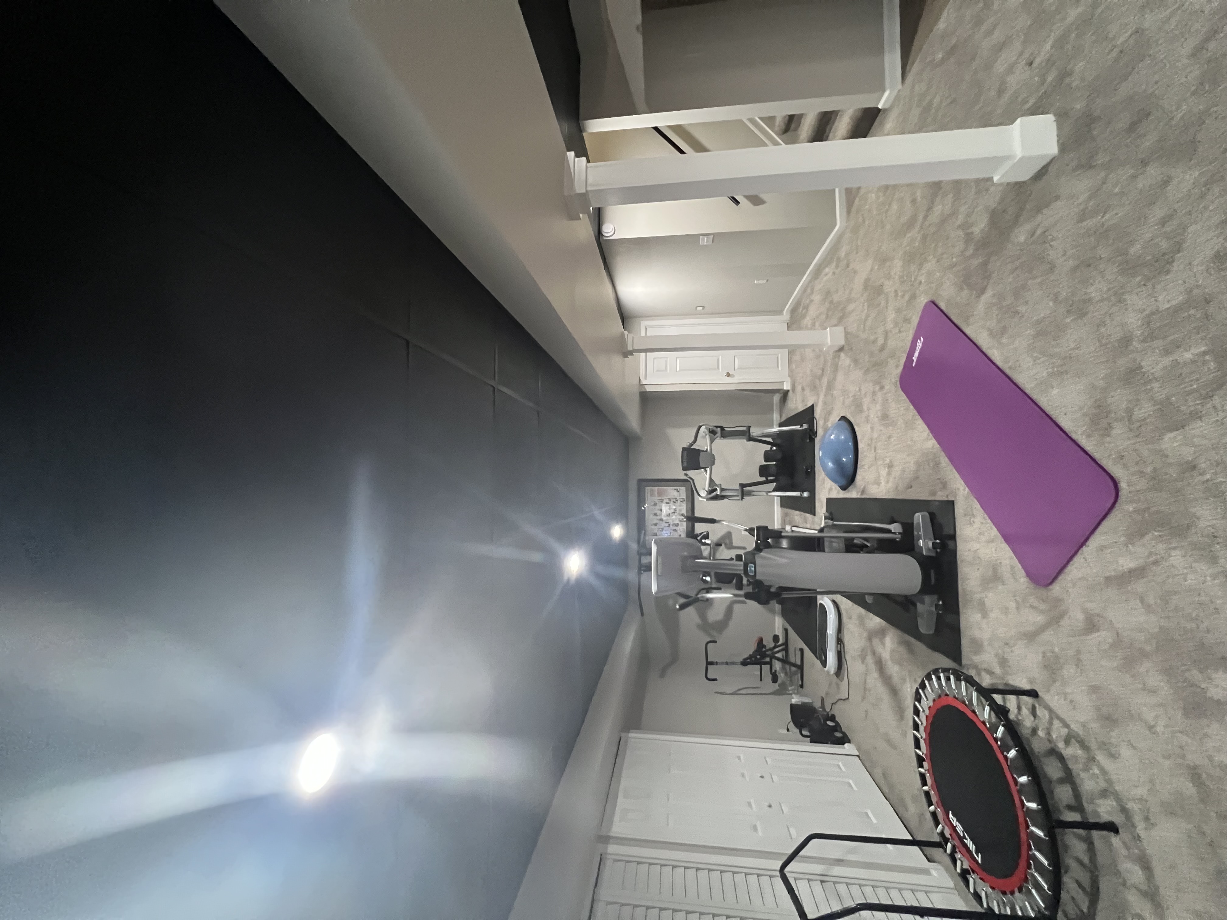 Mitten Made basement home gym, lounge, and sauna