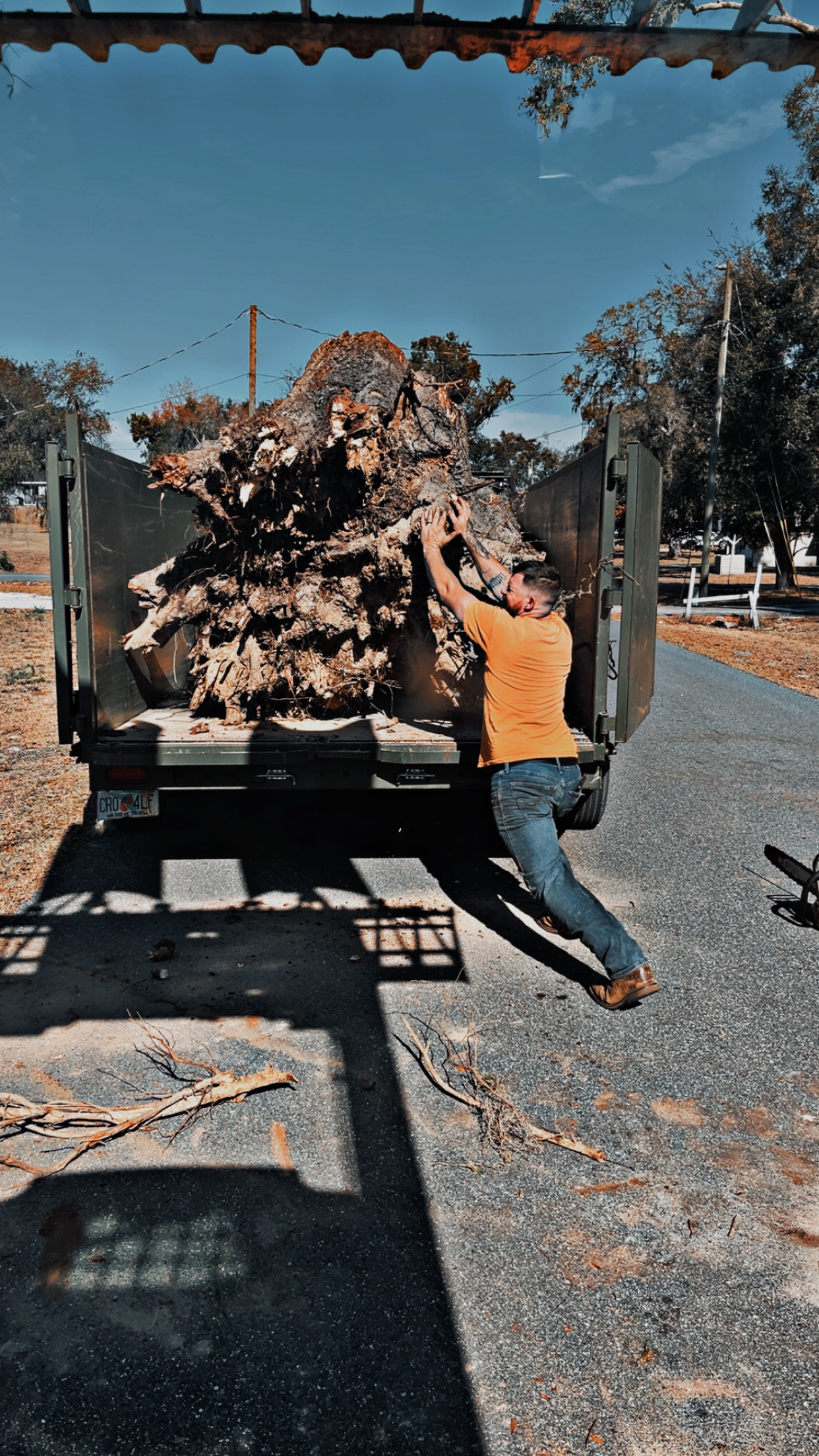  for All Around Guys Tree Service in Ocala, FL