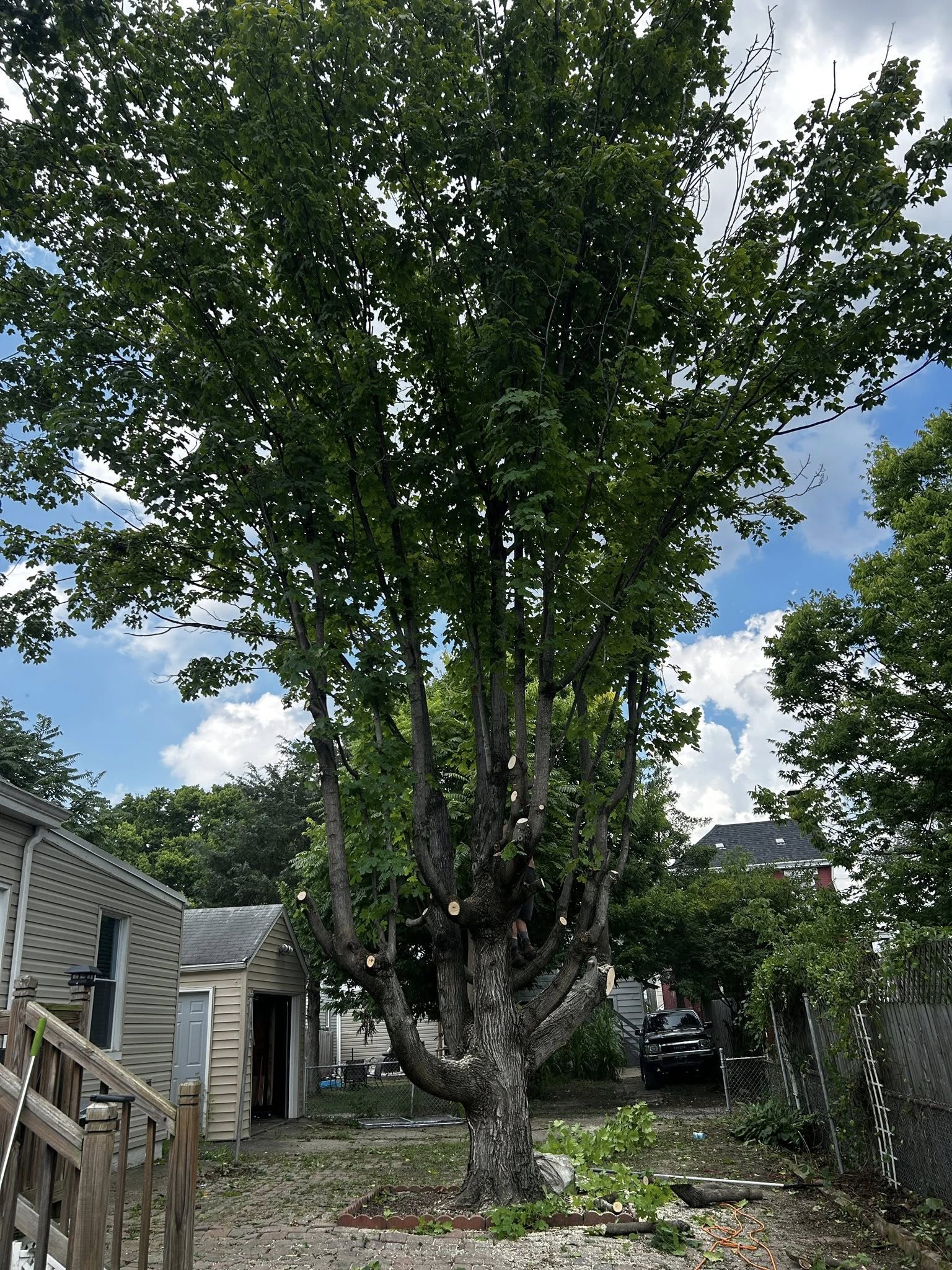  for Terra Steel Creations in Independence, KY