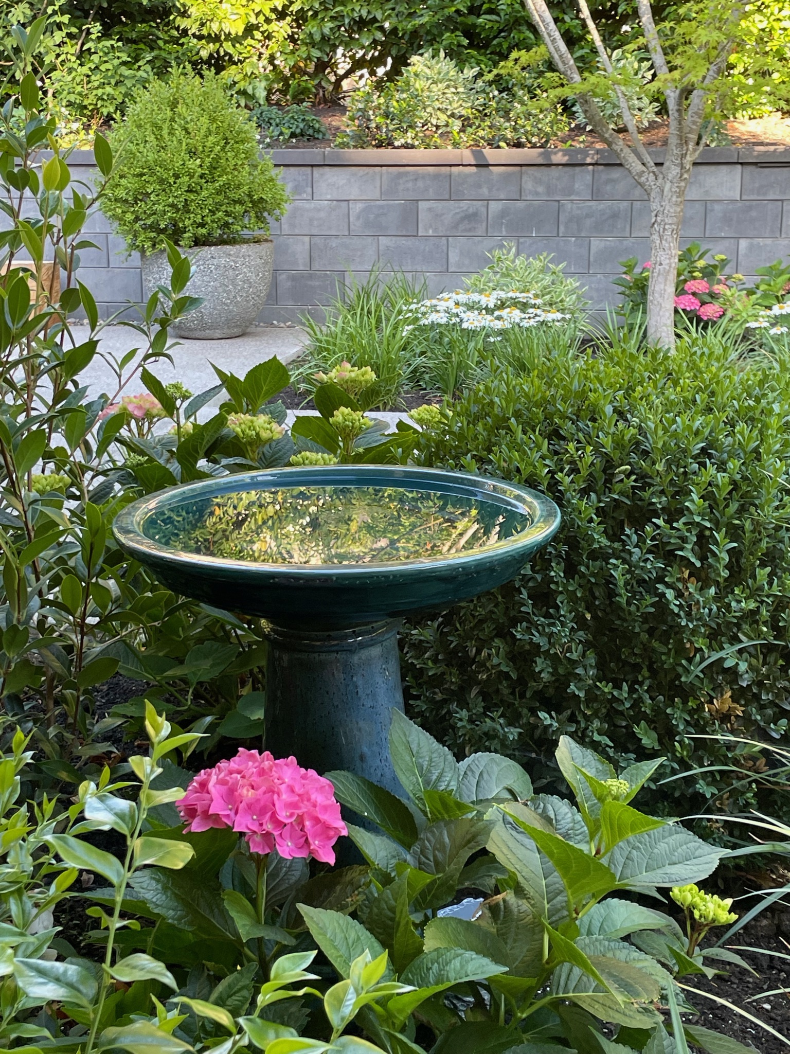  for Courtney Lewis Landscape Design in Portland, OR