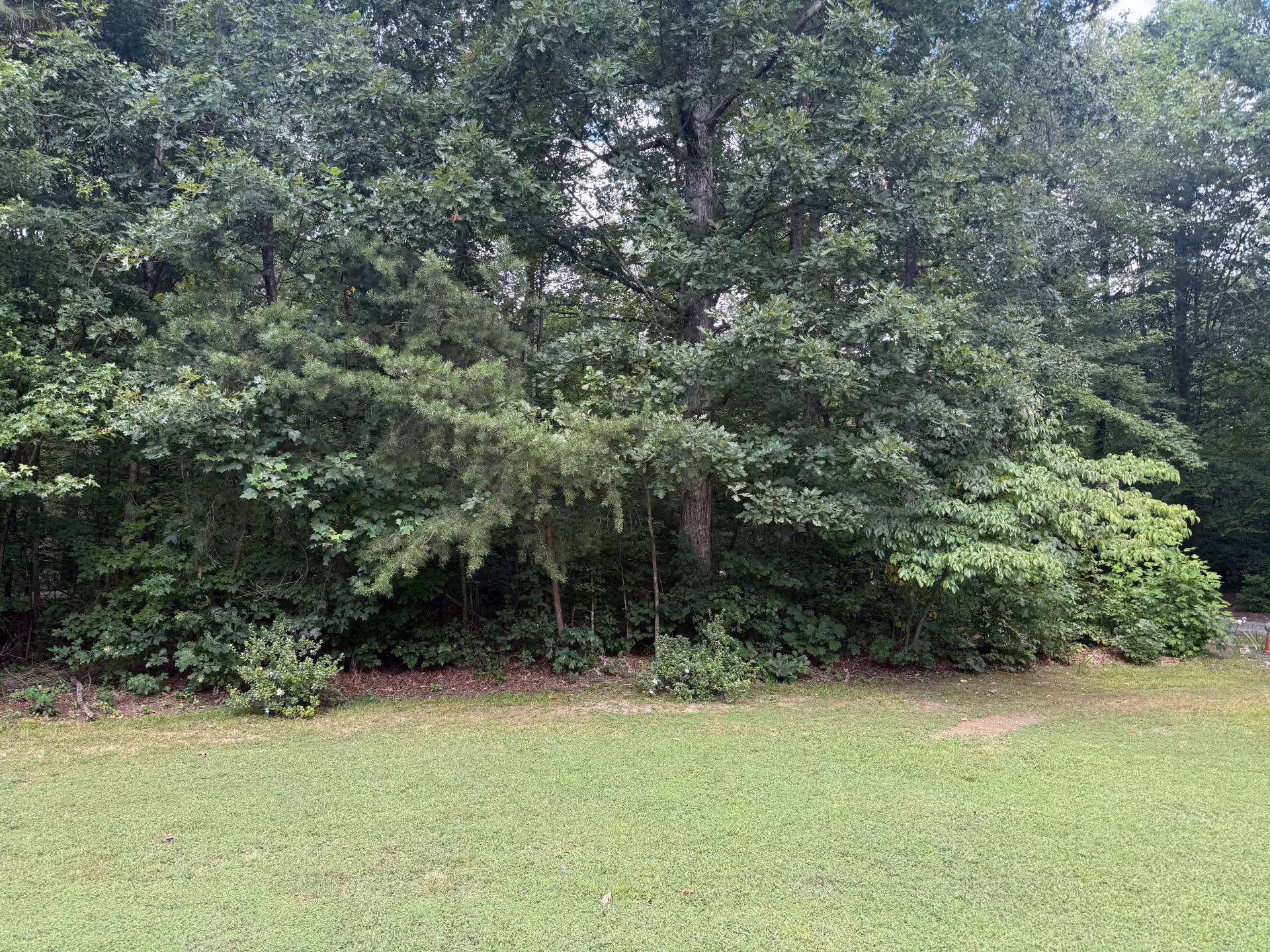 Pristine Land Transformation for Enhanced Site Potential in Powhatan, VA