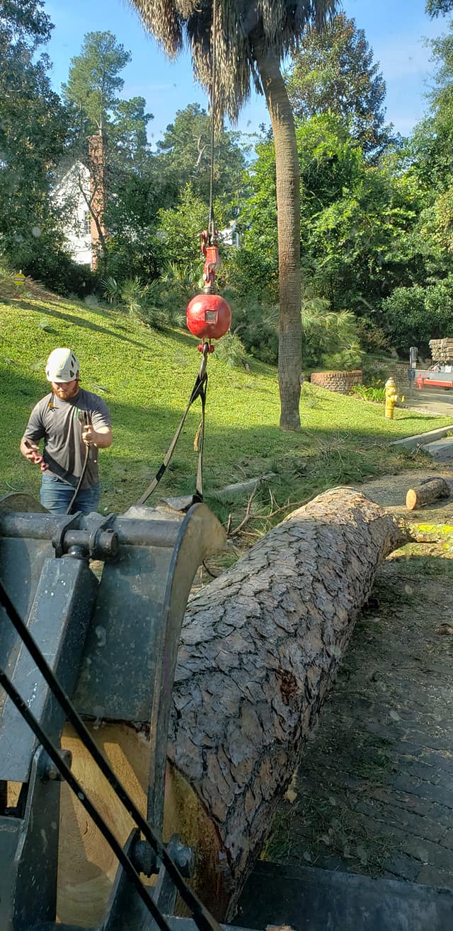  for Trees Unlimited of the CSRA in Augusta, GA