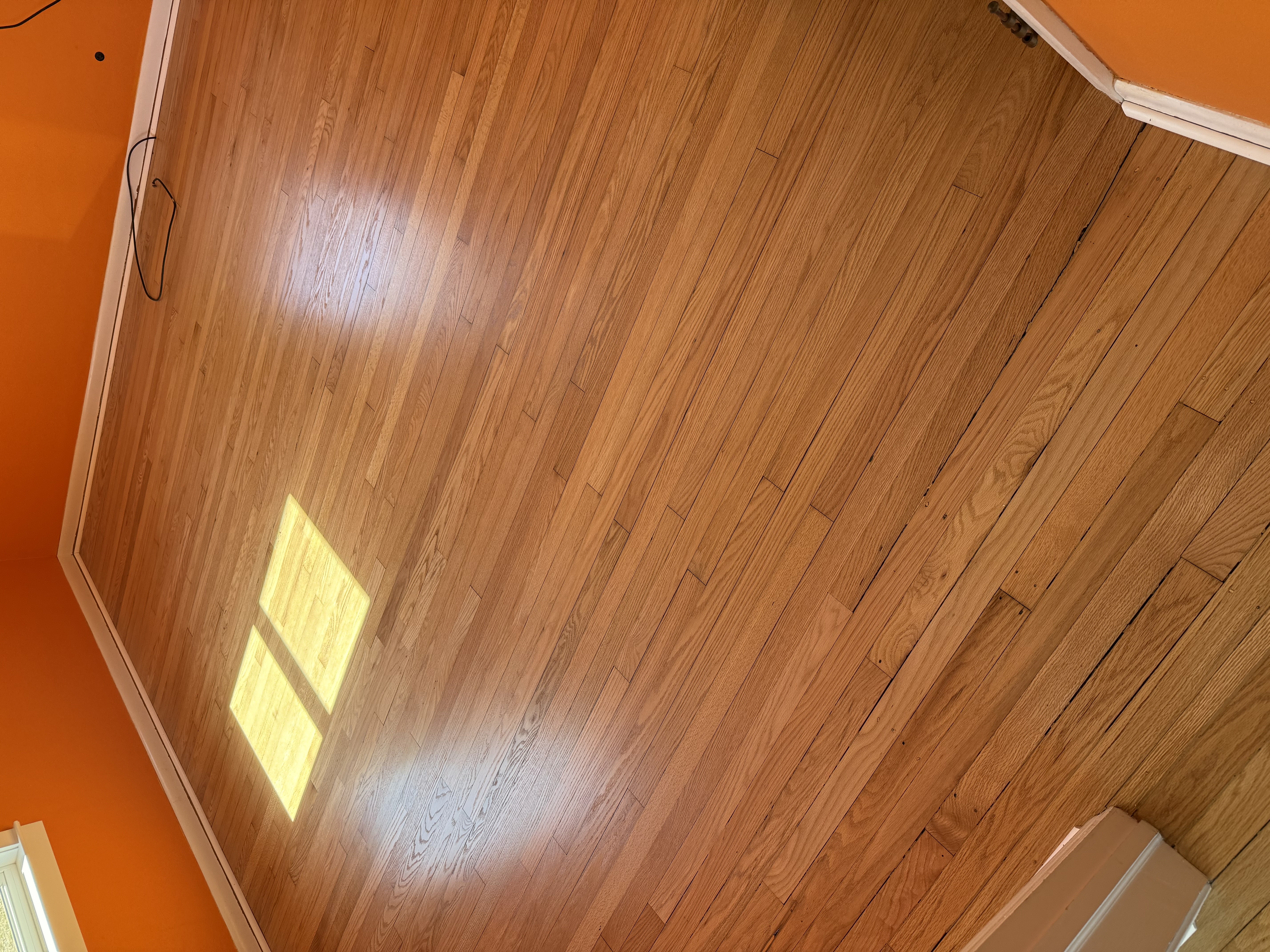  for Finely Finished LLC in Wyoming, DE