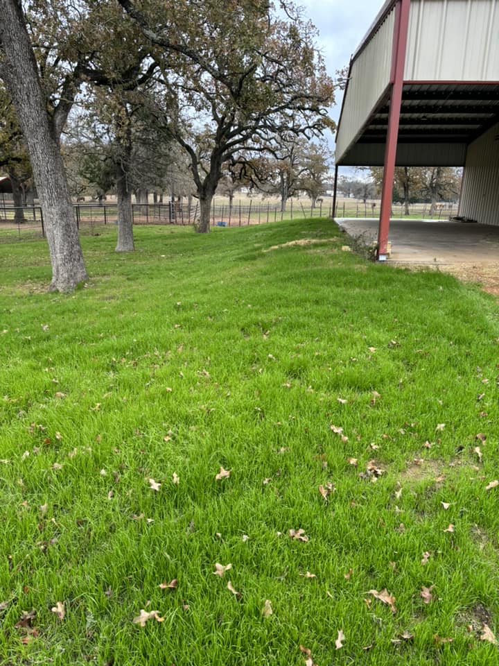 Elite Seed and Erosion LLC team in McDade, TX - people or person