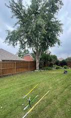  for Imber’s Tree Service LLC in Arlington, TX