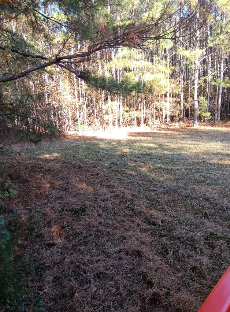  for Big C Land Management in Anniston, AL