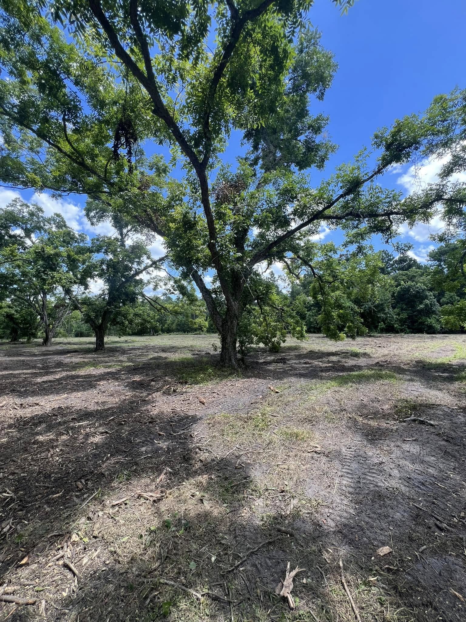  for Bay Hill Development LLC in Savannah, Georgia