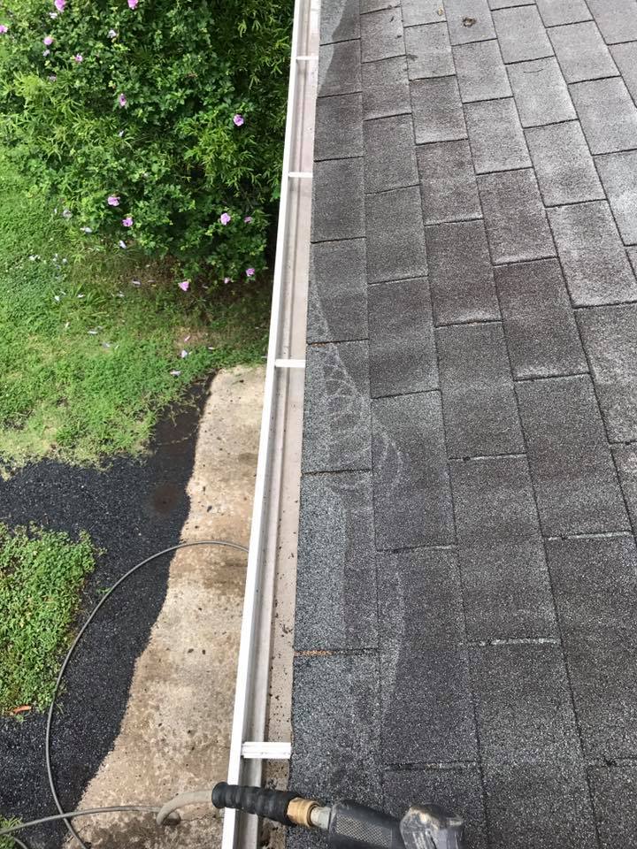  for Susan's Painting in Greensboro, NC