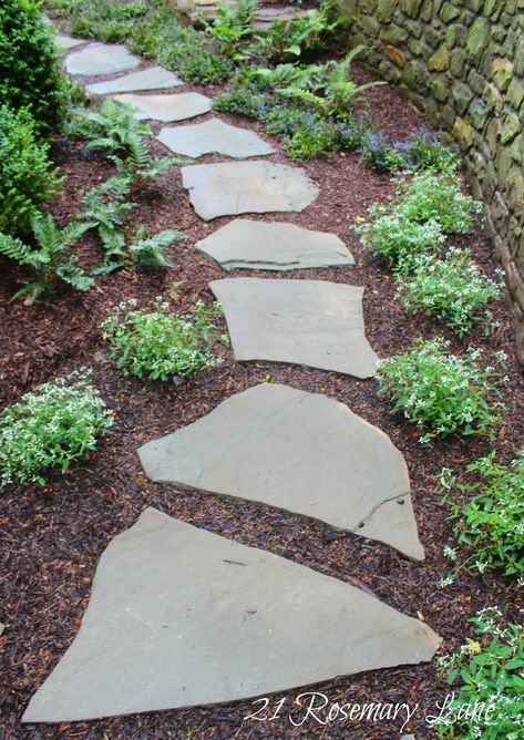 for Wildwood Landscaping in Leominster, MA